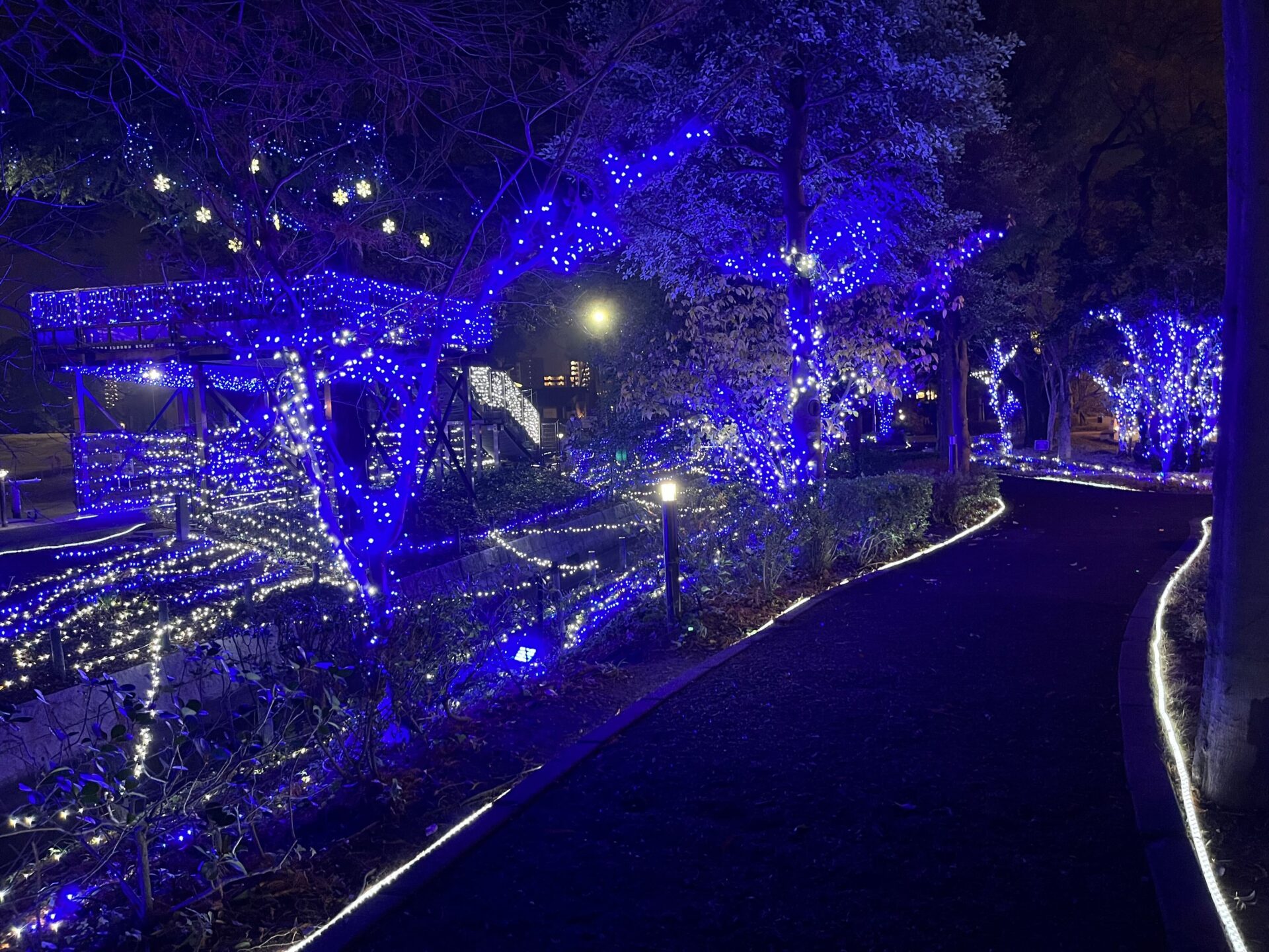 倉敷みらい公園のイルミネーション③