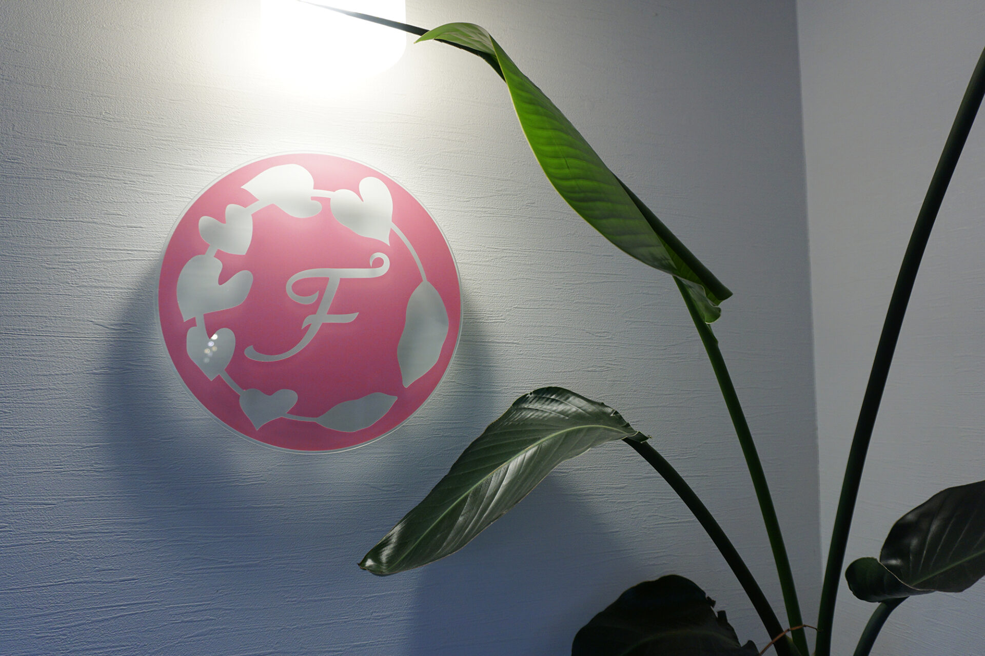 フェリチタロゴマーク