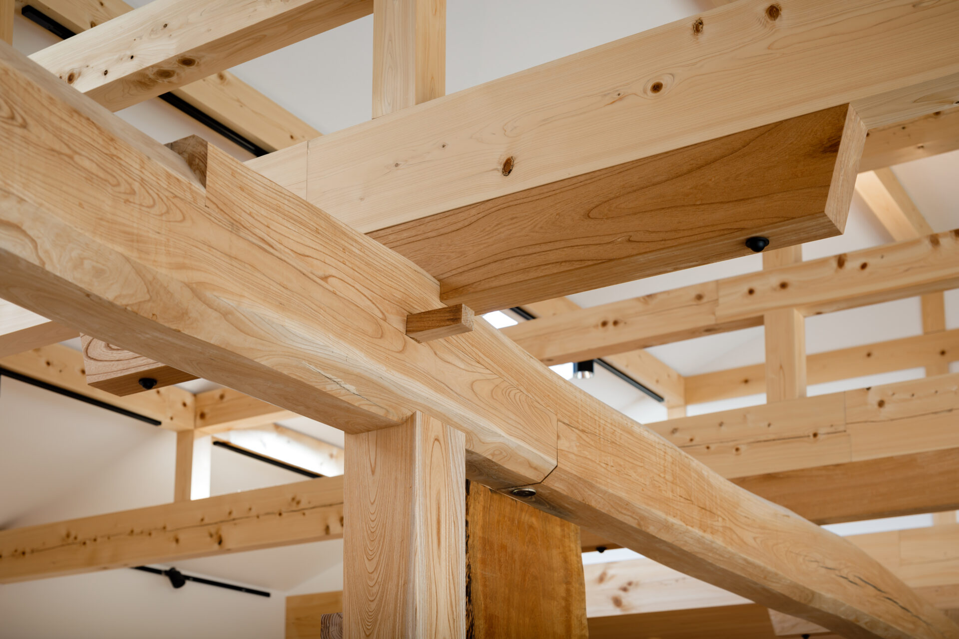 画像提供：なんば建築工房
