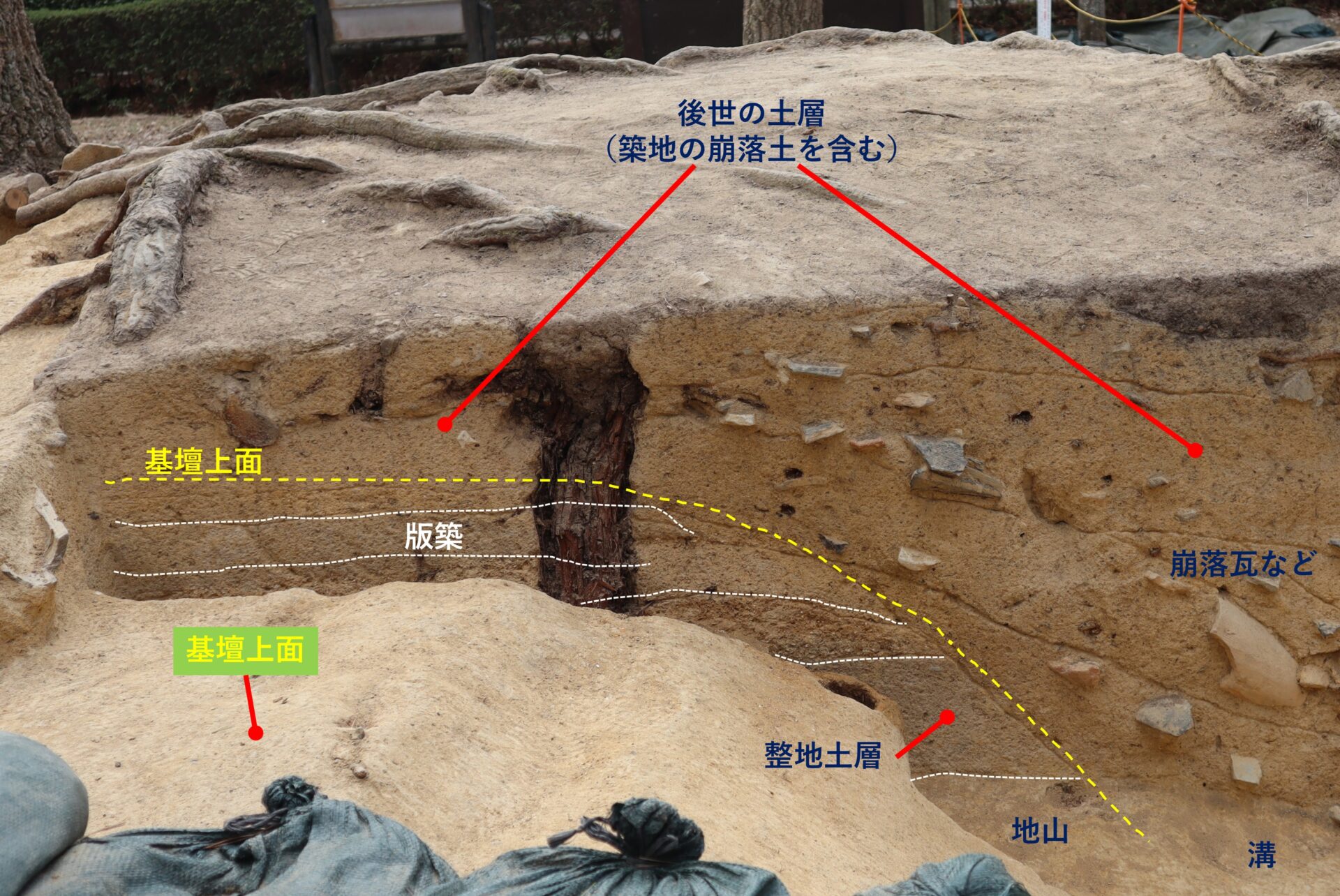 南門西側の地層断面(北から)