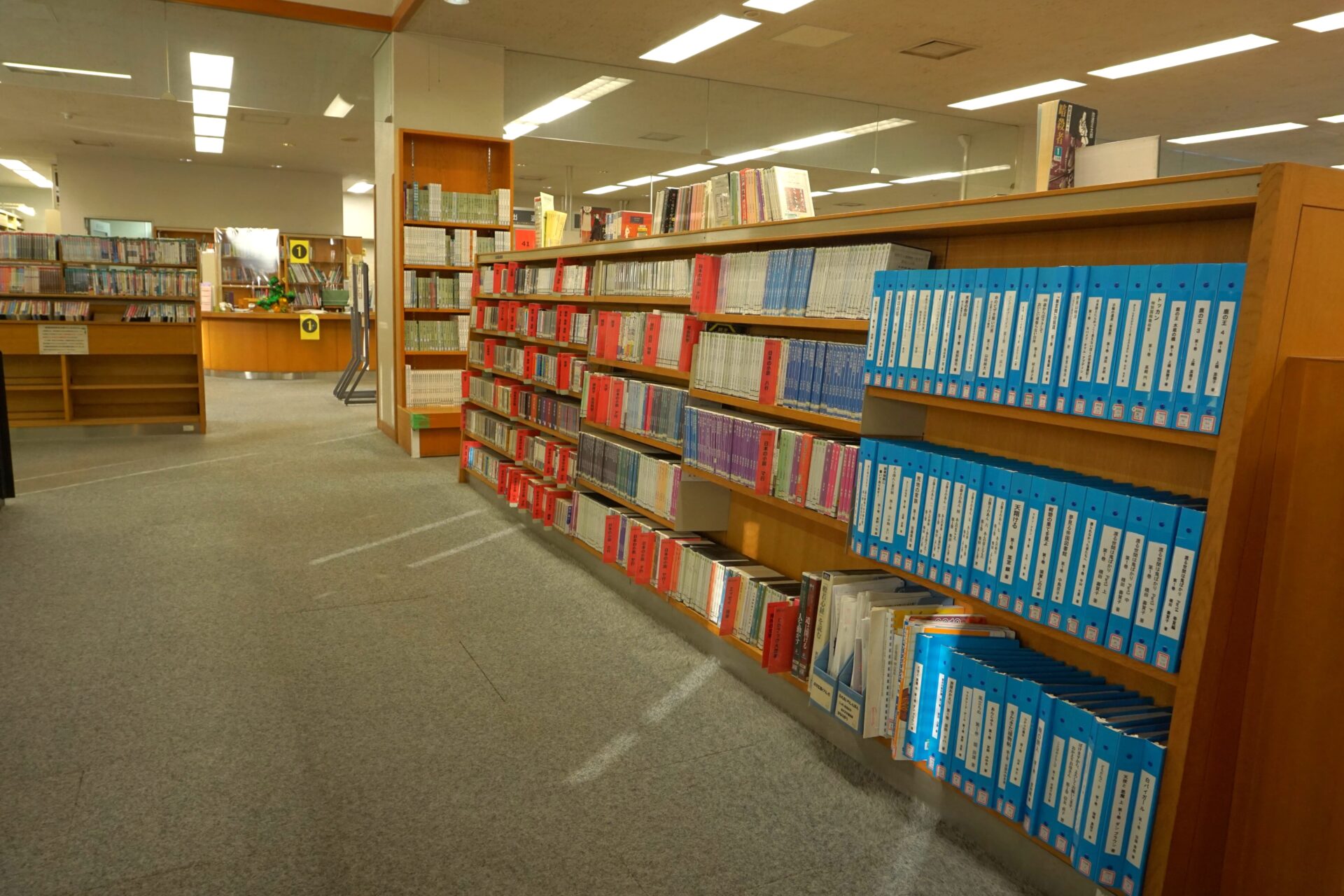 青色のファイルが点字図書。ここは中央図書館のどこでしょう。