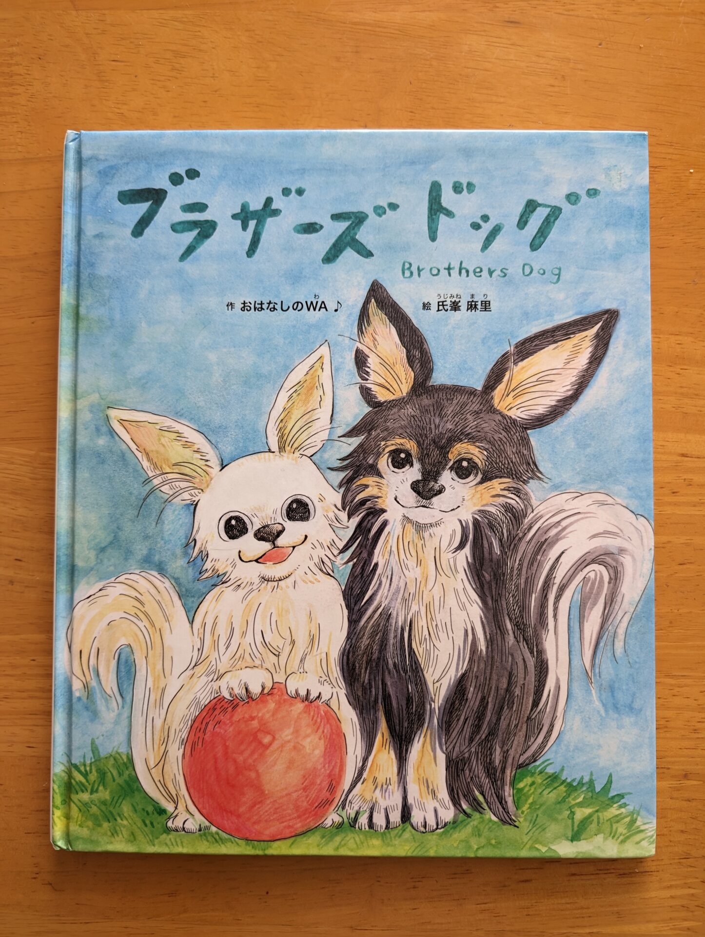 画像提供:遠藤寛子さま