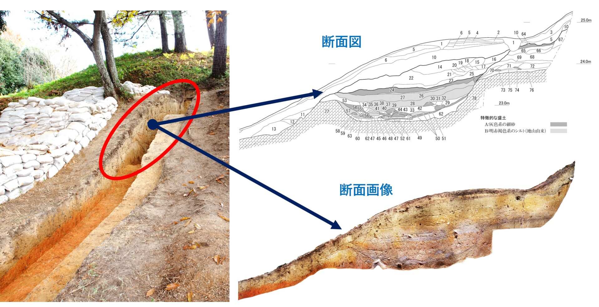 ICTを活用した断面画像（岡山県古代吉備文化財センター提供）