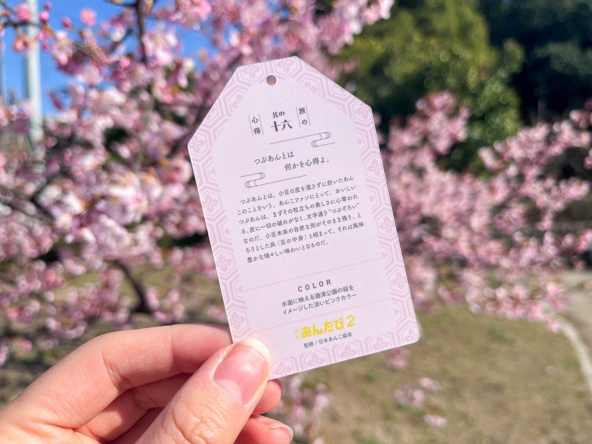 まんまるコッペの餡全御守カード 裏面