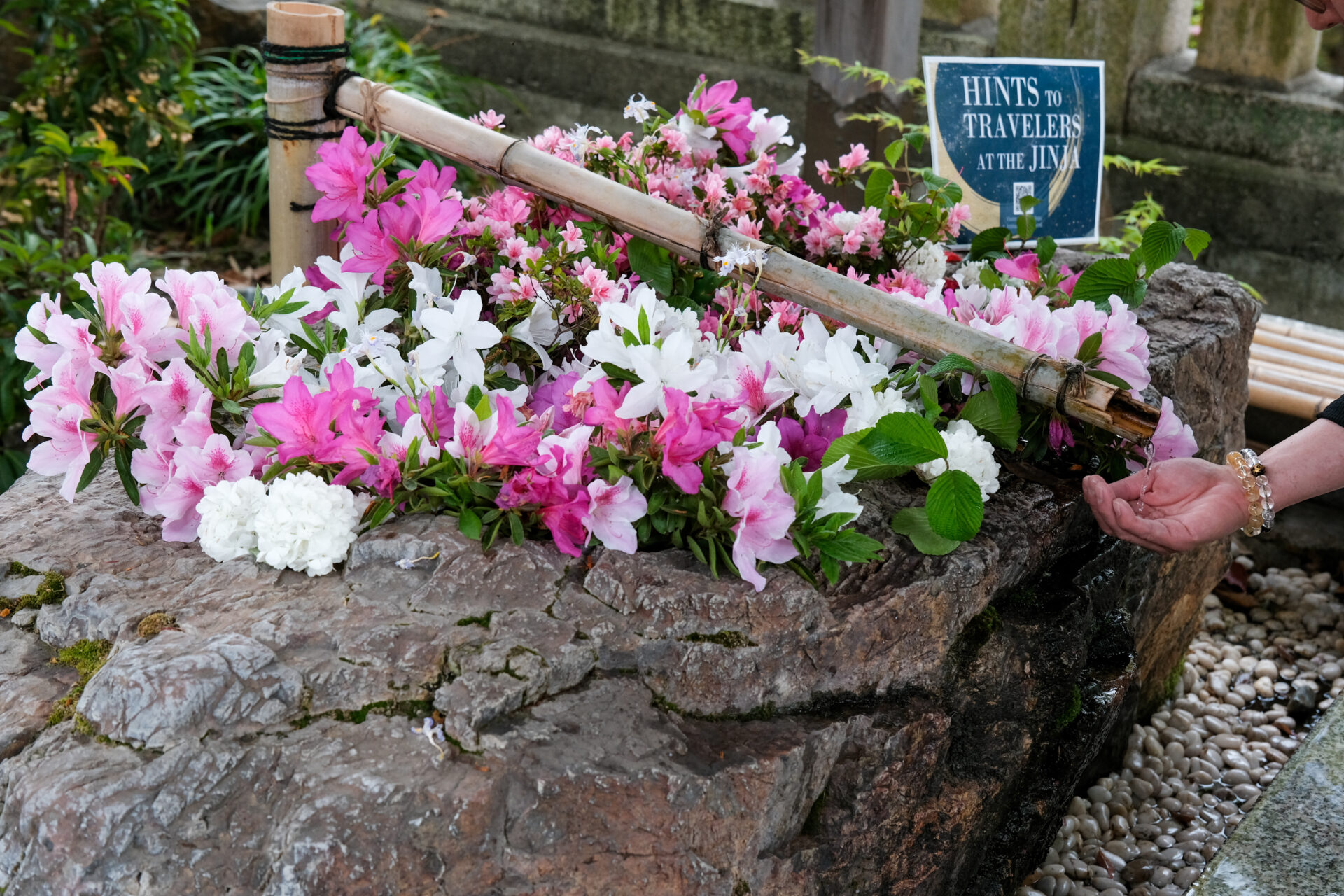 手水鉢にはツツジの花が添えられていました