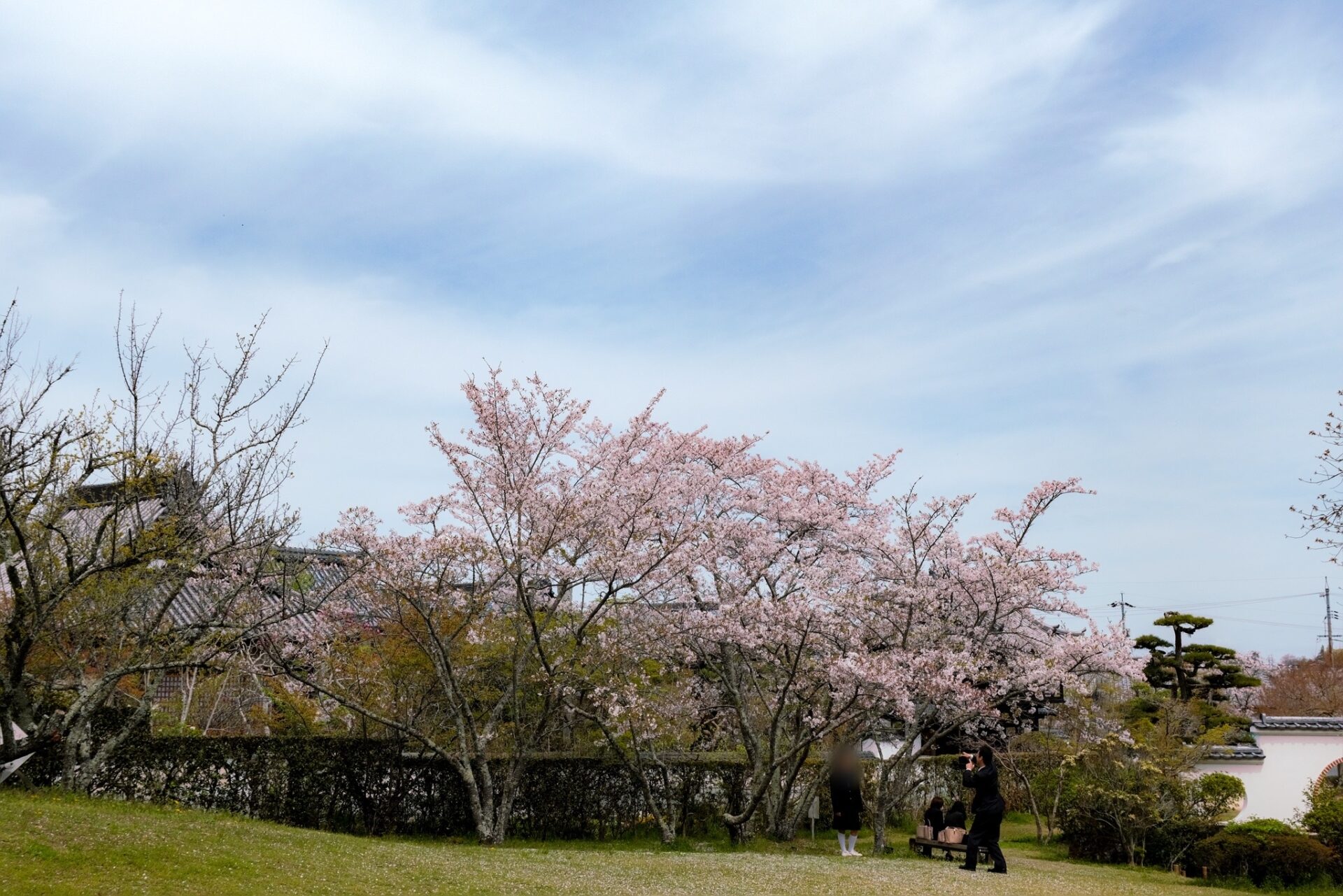 まきび公園に訪れていた家族連れ
