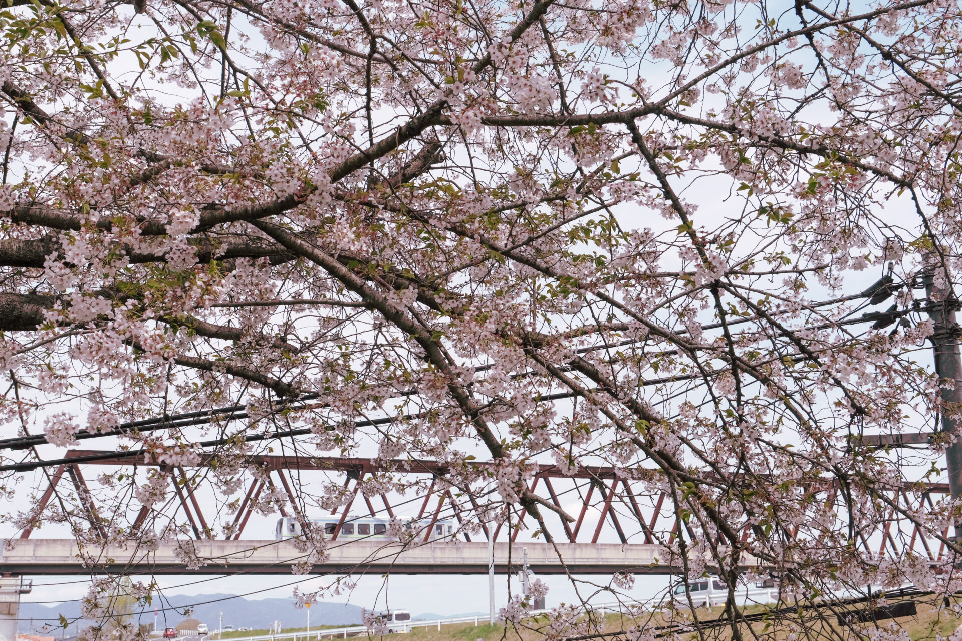 真備とんぼ公園から見えた井原鉄道