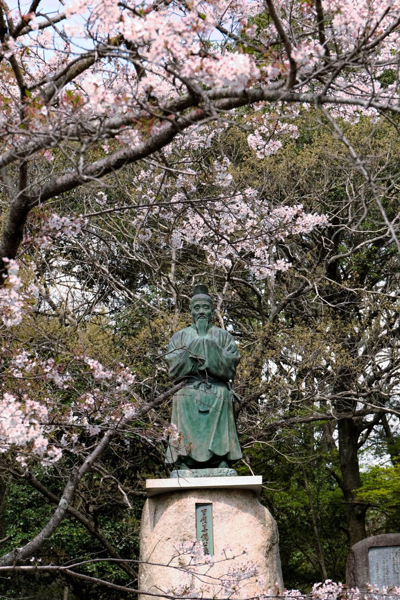 吉備真備像と桜