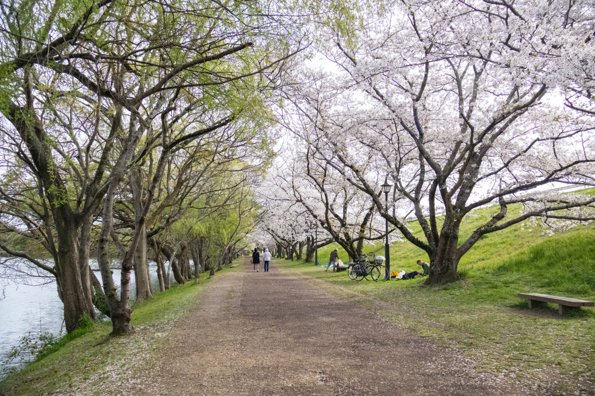 酒津公園