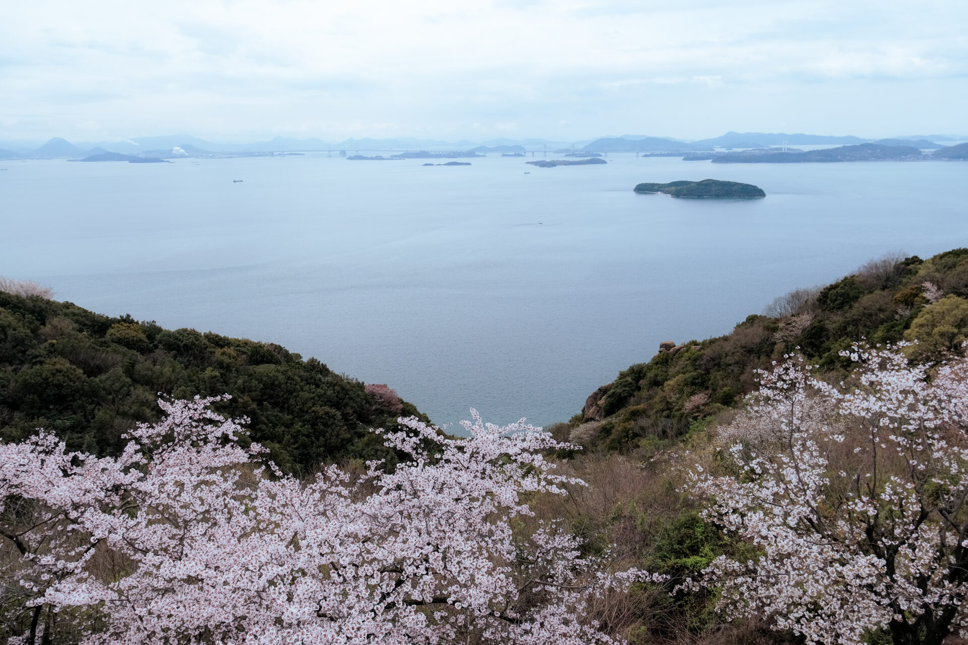 王子が岳レストハウス屋上から見える瀬戸内海と桜