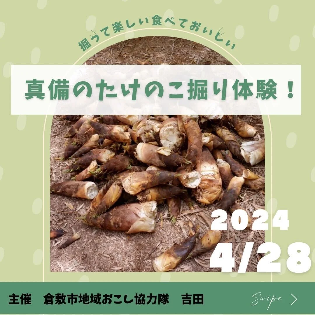 真備のたけのこ掘り体験 画像提供:吉田大紘さん