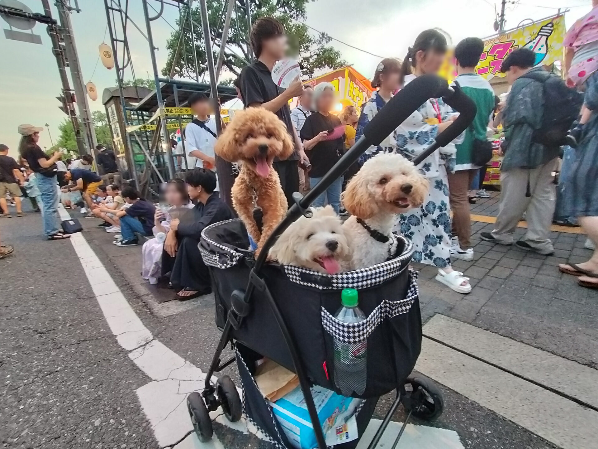ワンちゃん