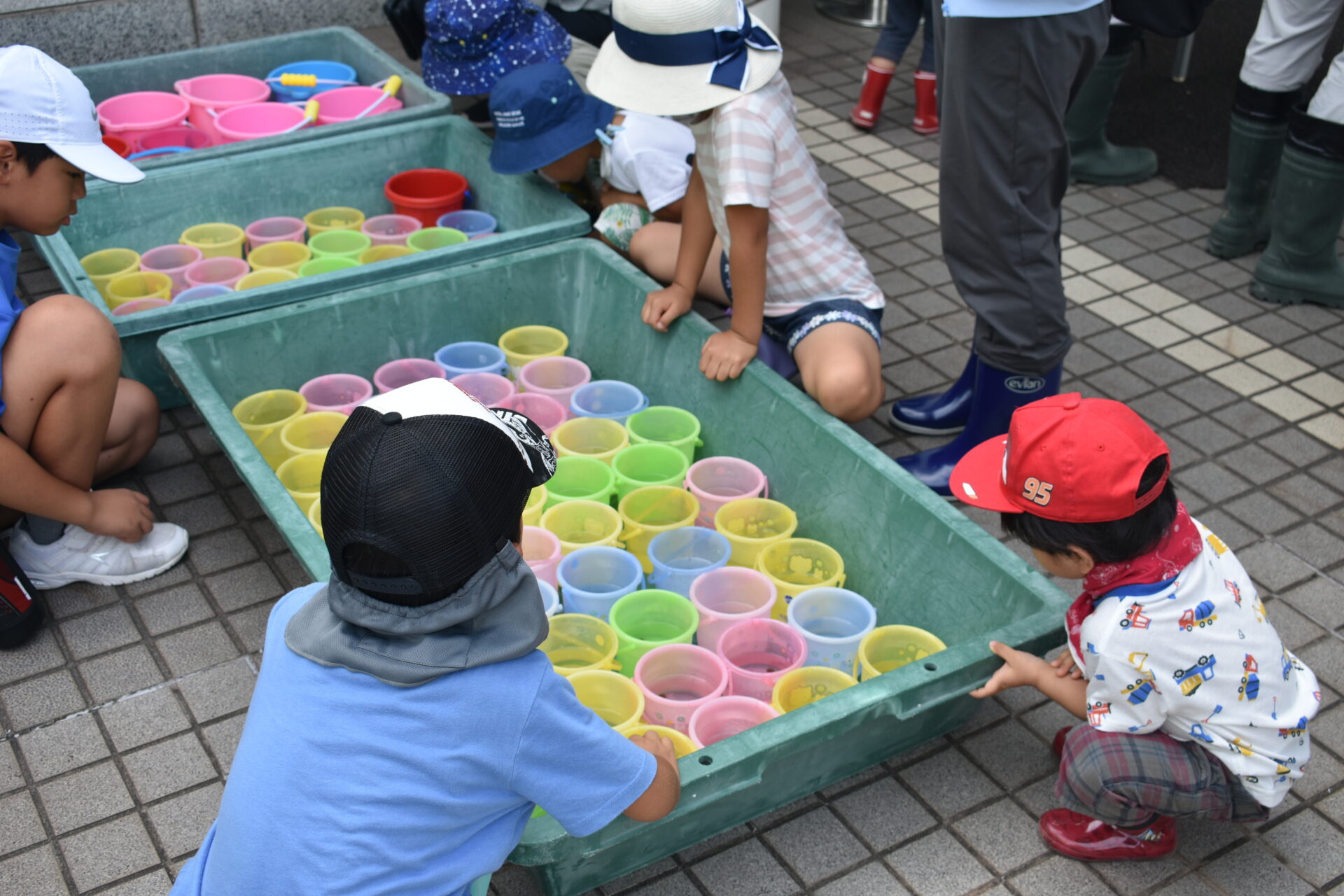 小さなカブトガニに興味津々の子どもたち