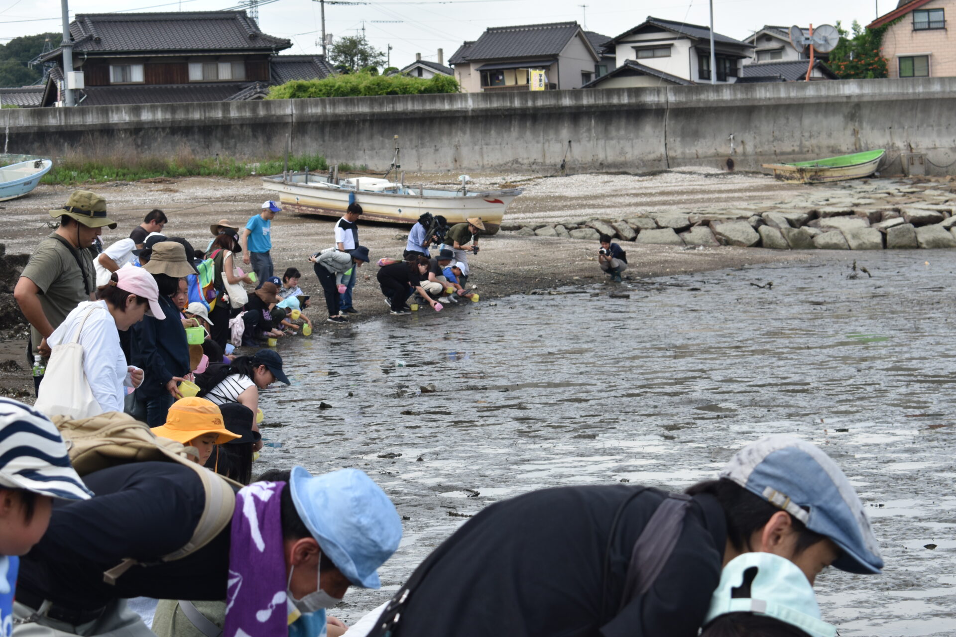 カブトガニのようすを確認する参加者たち