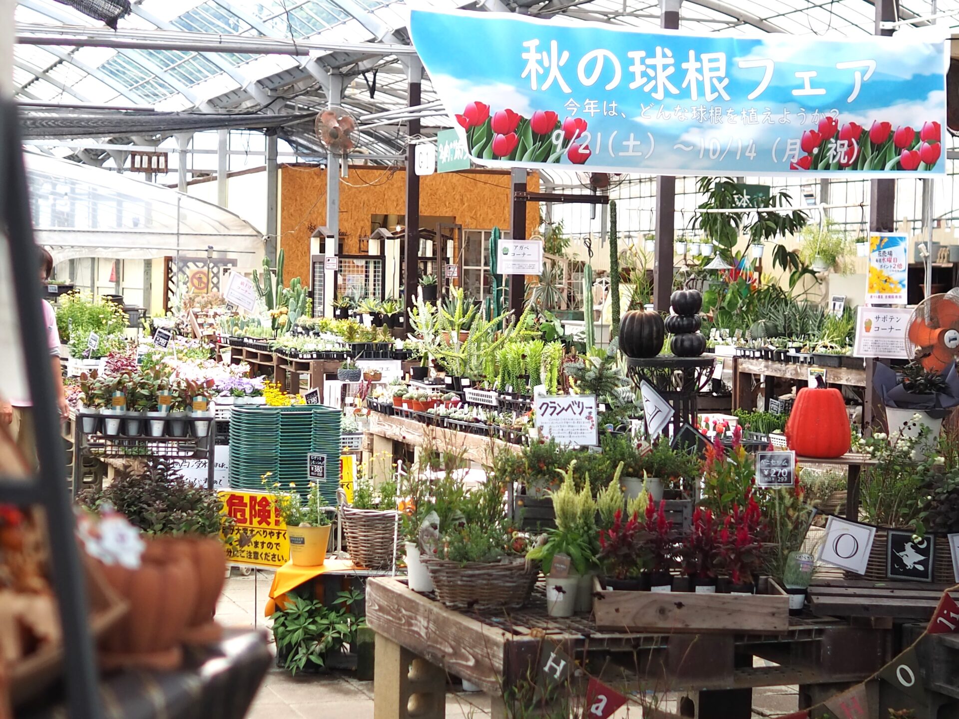 花売り場