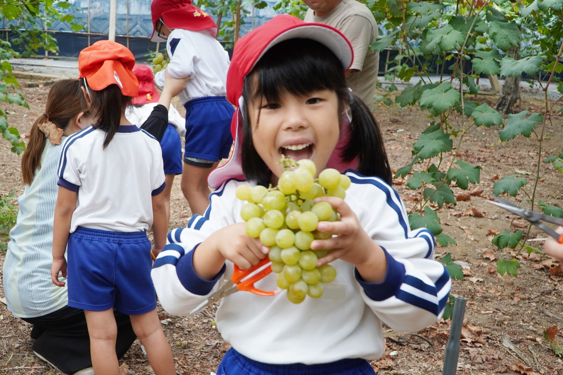 園児たち_GRAPE SHIP