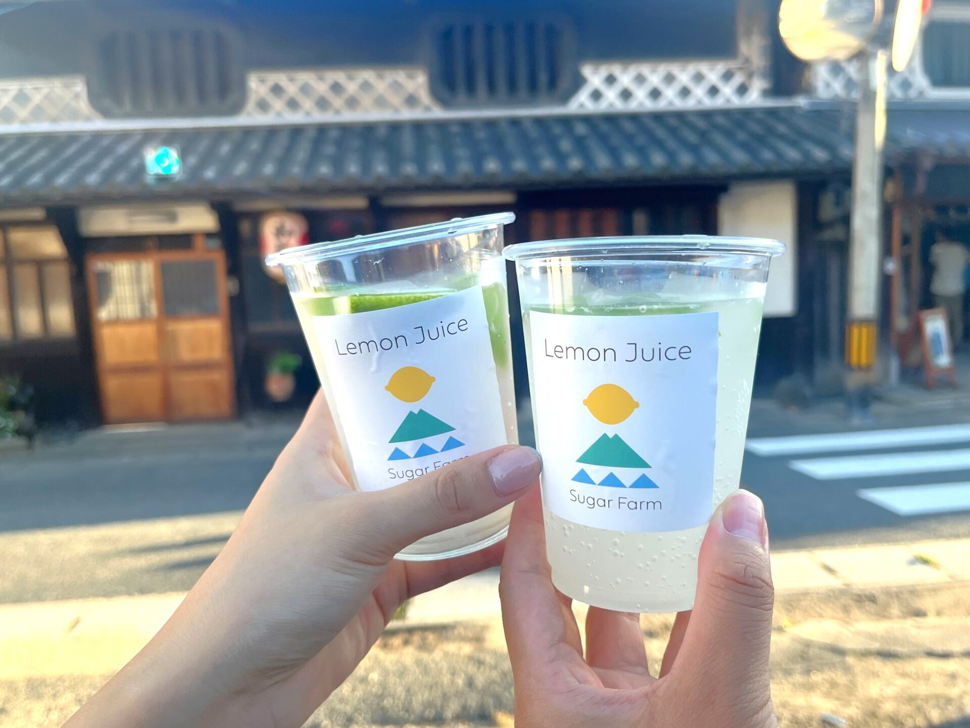 瀬戸内レモンのサワー