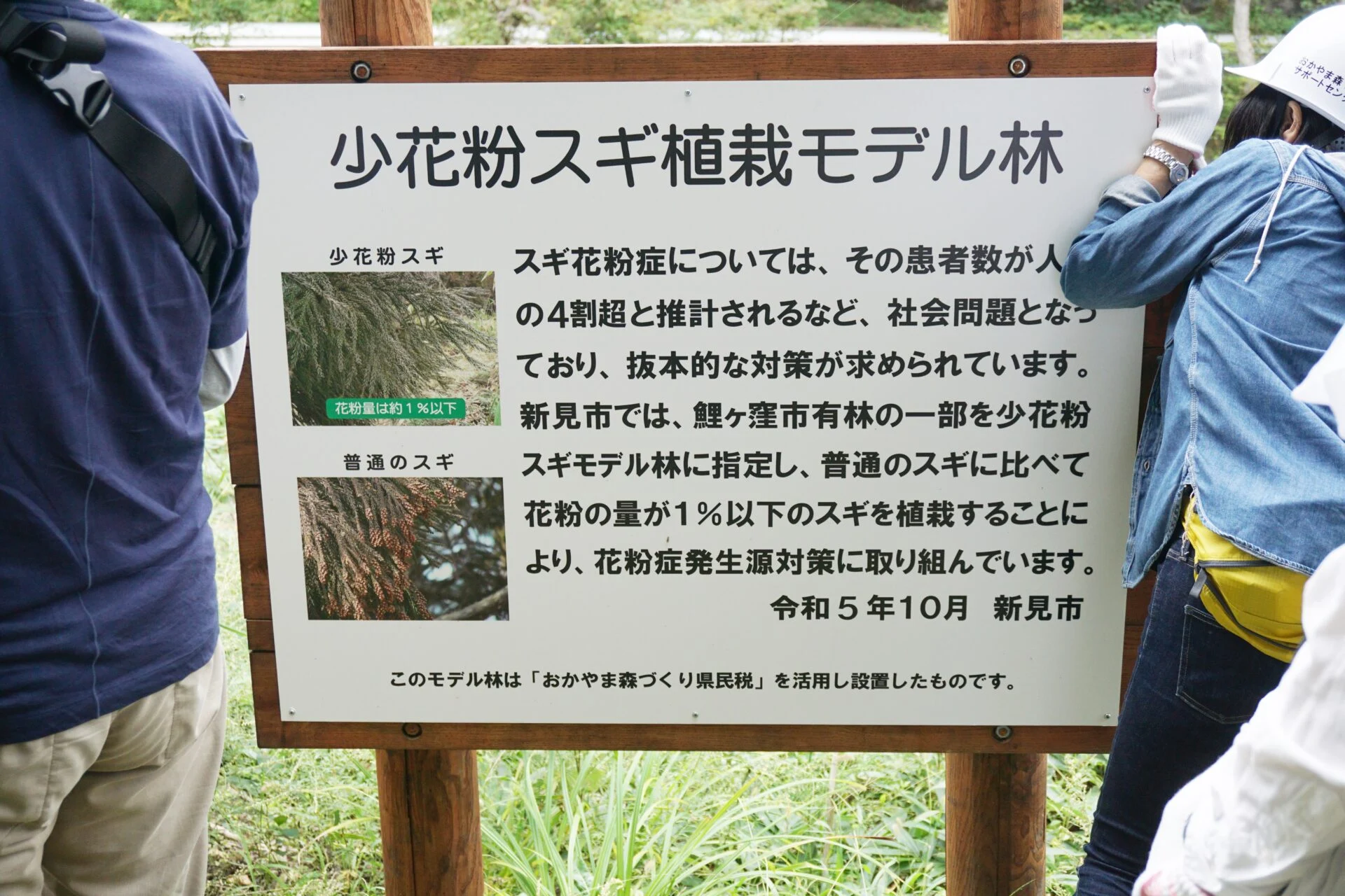 JTの森