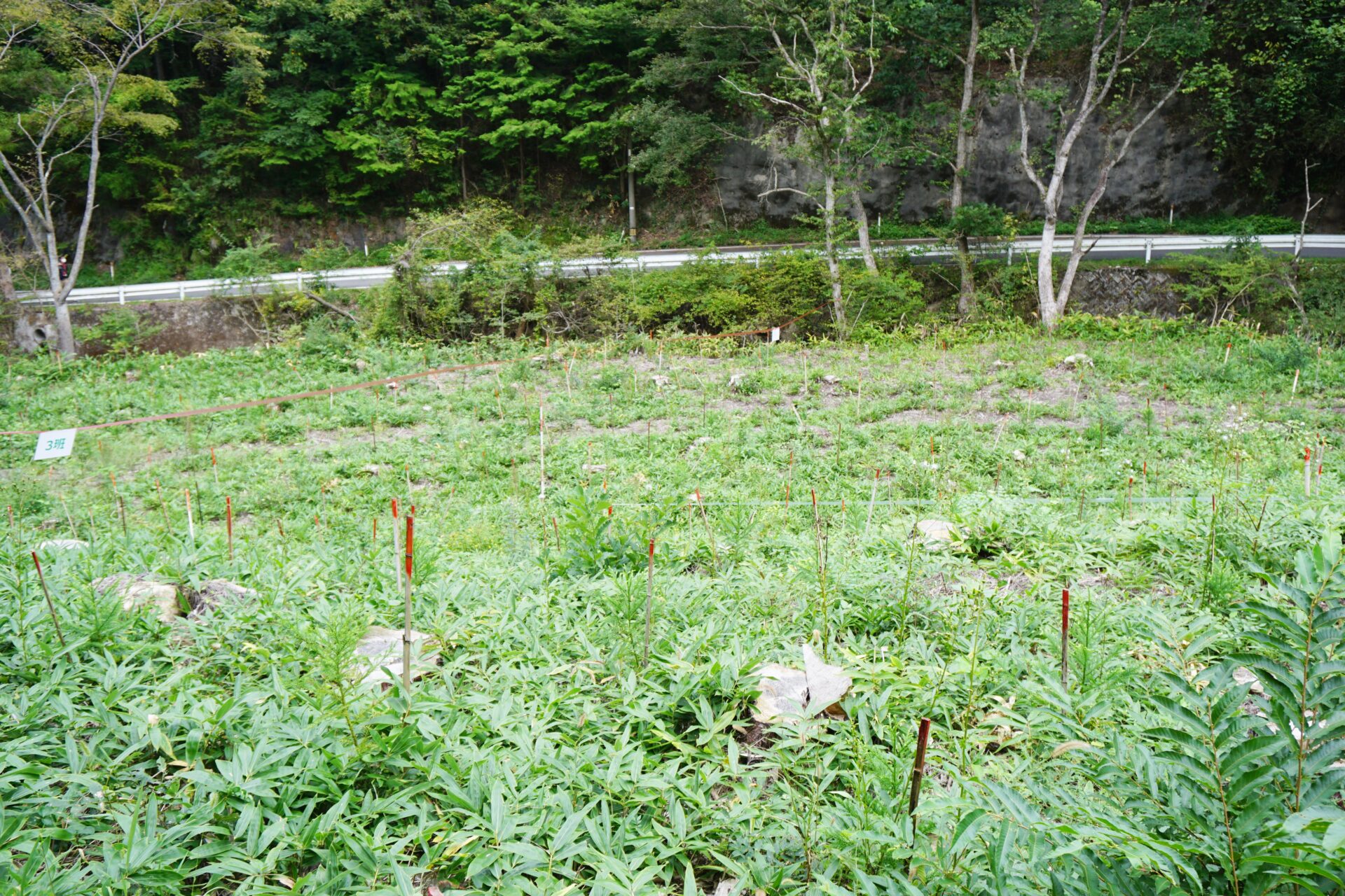 JTの森:作業現場