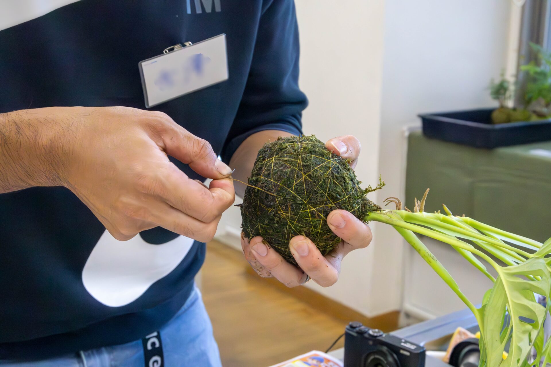 苔玉に糸を巻いて補強するようす