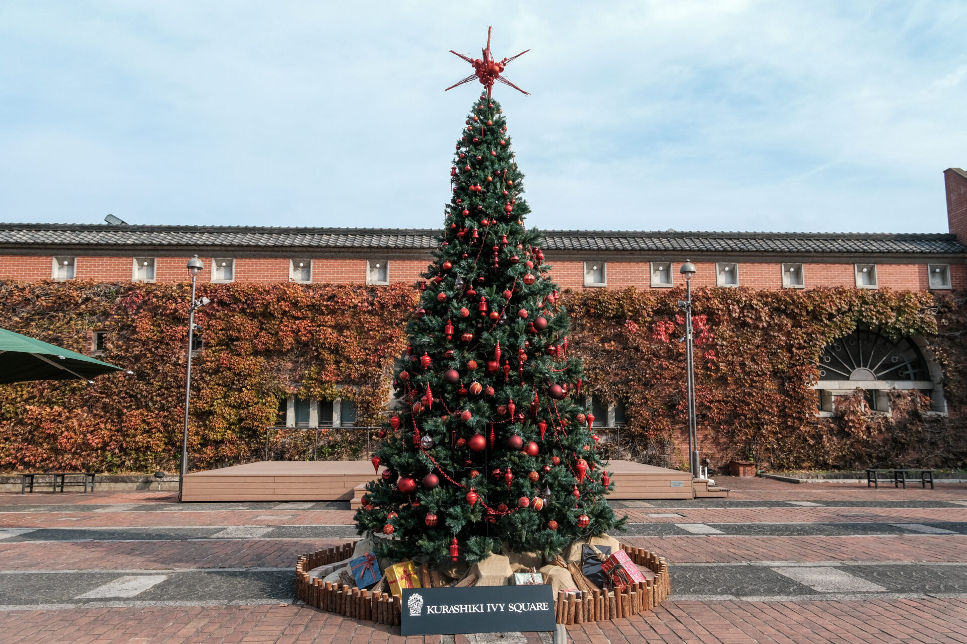 中庭広場のクリスマスツリー