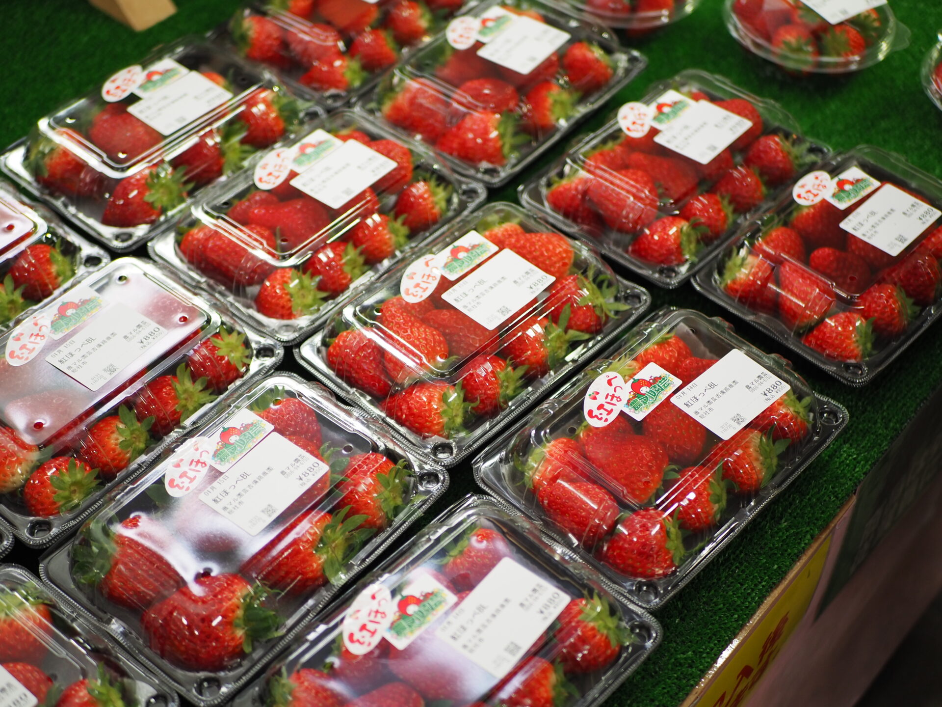 直売所で販売されている採れたてのいちご