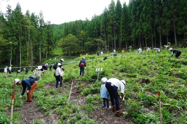 「JTの森 鯉が窪にいみ」2024年秋 森林保全活動 〜 大自然のなかでおこなう“草刈り”は未来へつなぐ大切な作業
