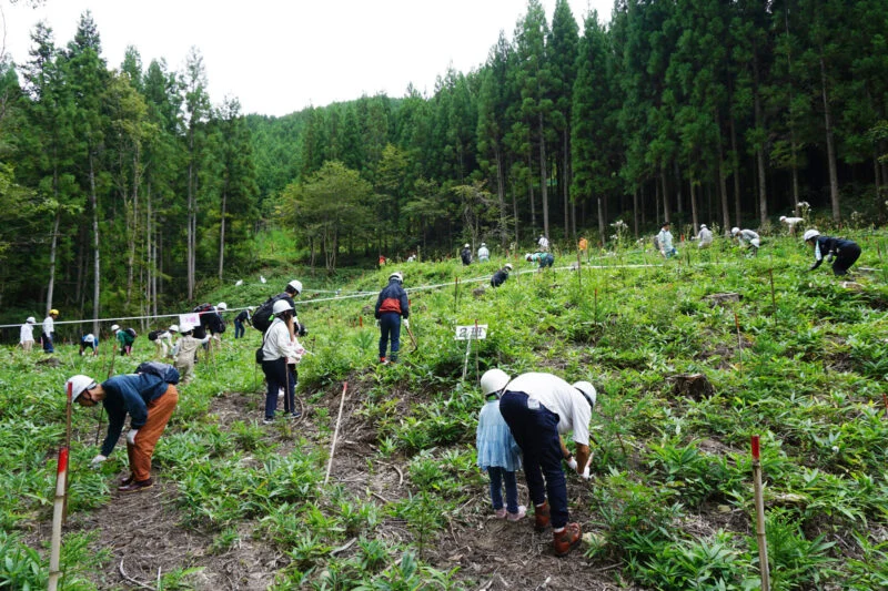 「JTの森 鯉が窪にいみ」2024年秋 森林保全活動 〜 大自然のなかでおこなう“草刈り”は未来へつなぐ大切な作業