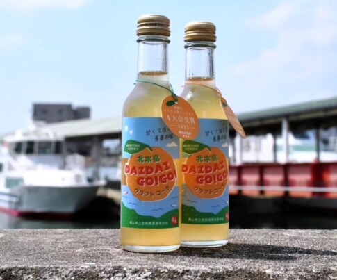 北木島DAIDAIGO!GO! 笠岡産ダイダイを使い笠SHOP探究班 高校生が開発したクラフトコーラ