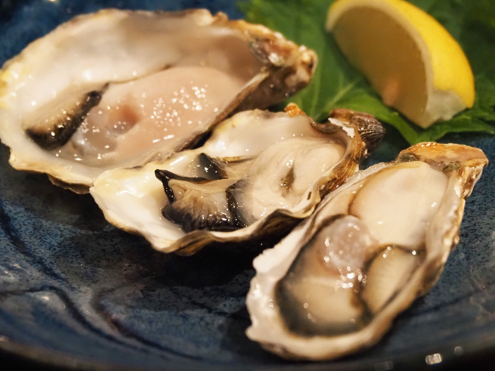 燎 料理