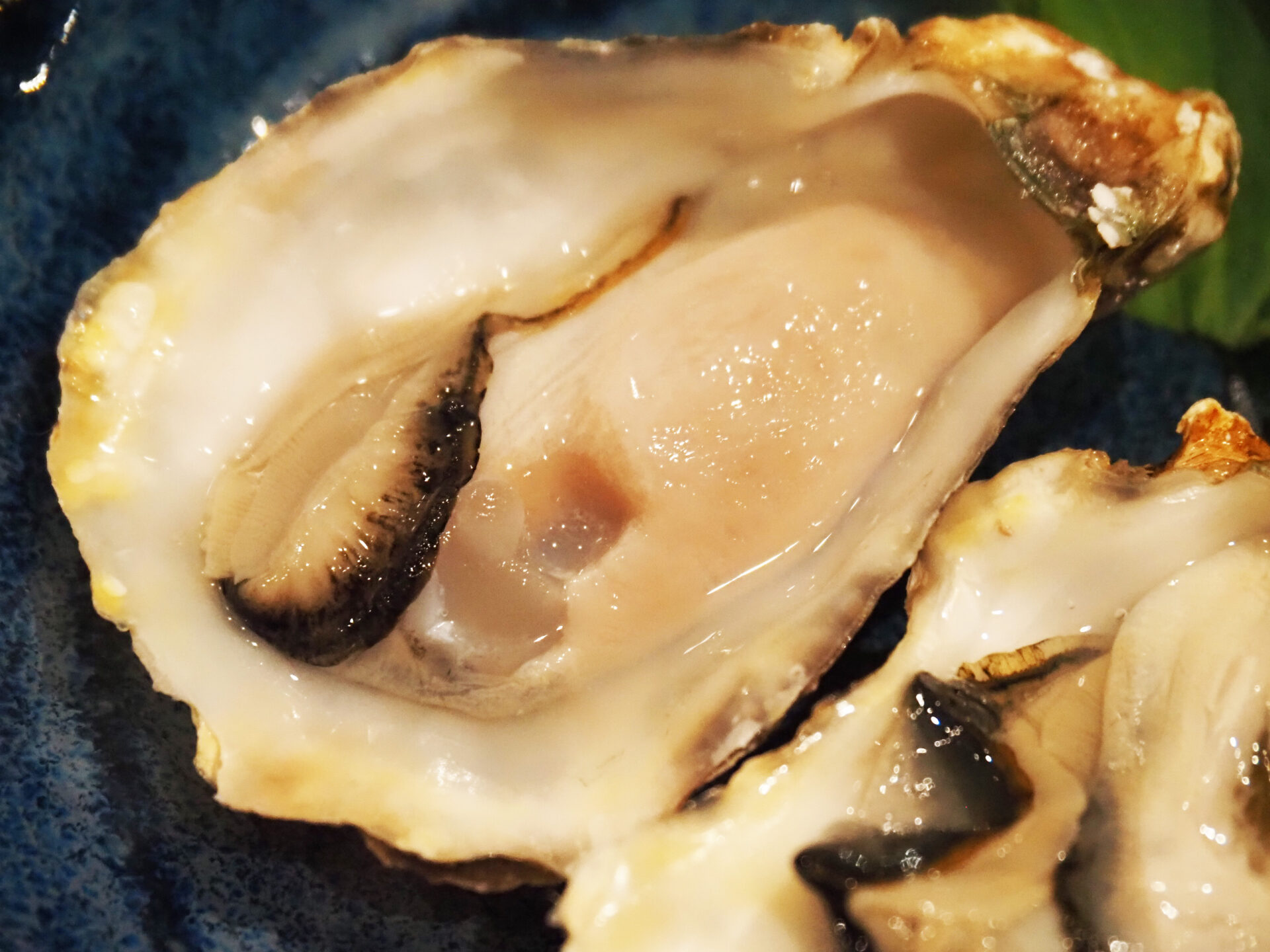 燎 料理