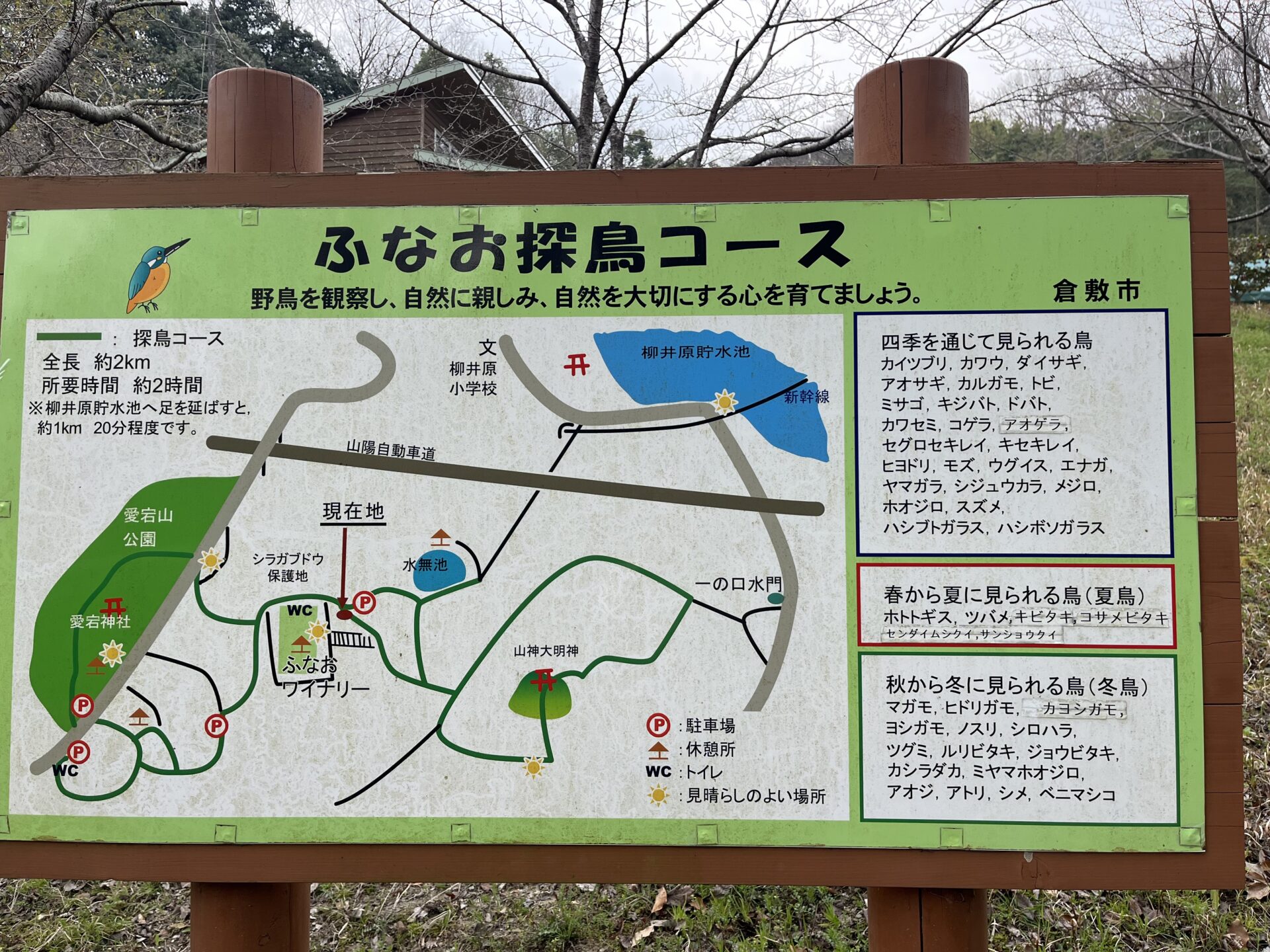 野鳥の観察コース