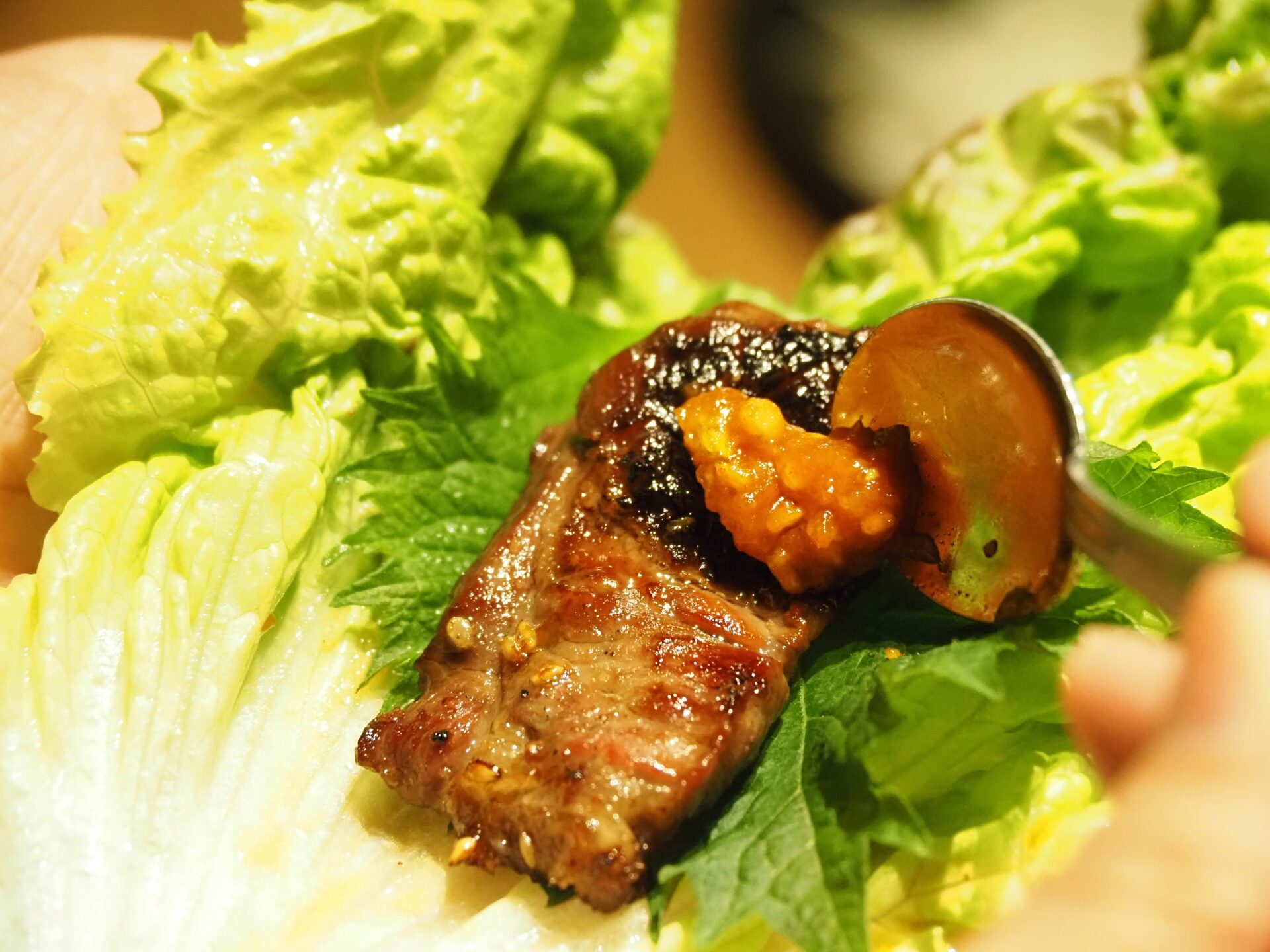 焼肉とい メニュー つつみ野菜セット