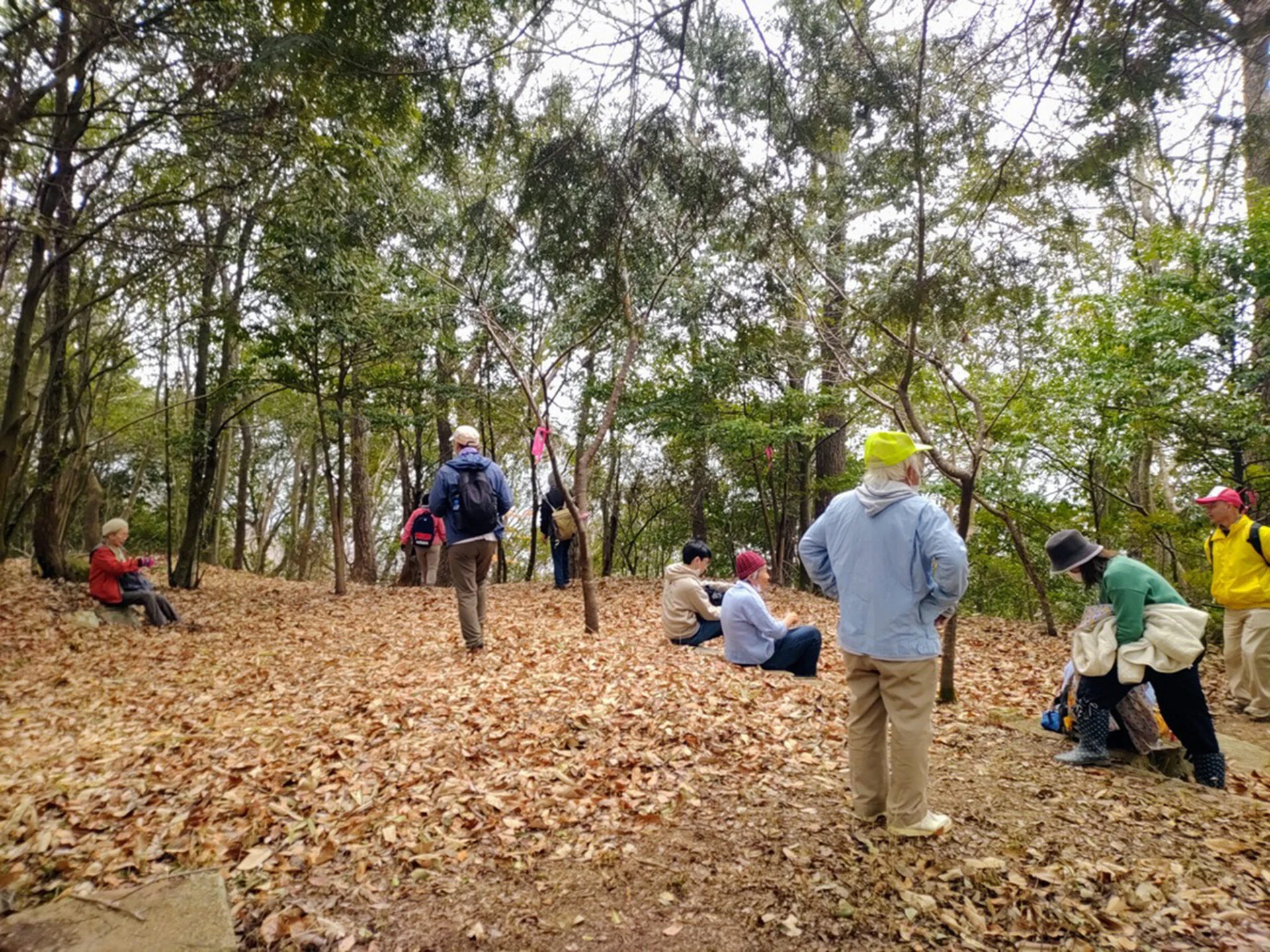 史跡探索ウォーキング「小林山城を探検しよう」（2025年3月1日開催）～ 矢掛の知られざる山城跡