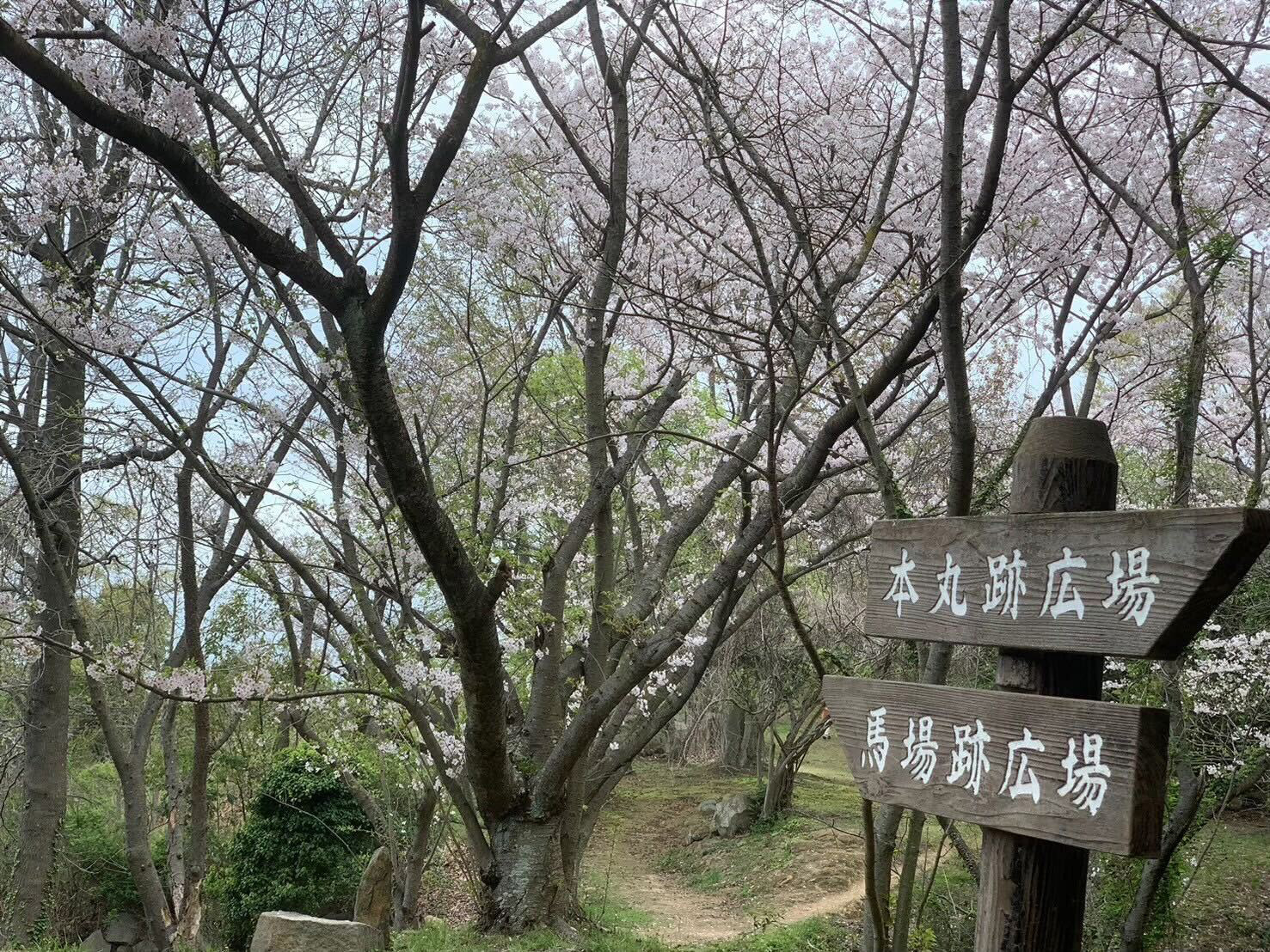 画像提供:下津井を考える会