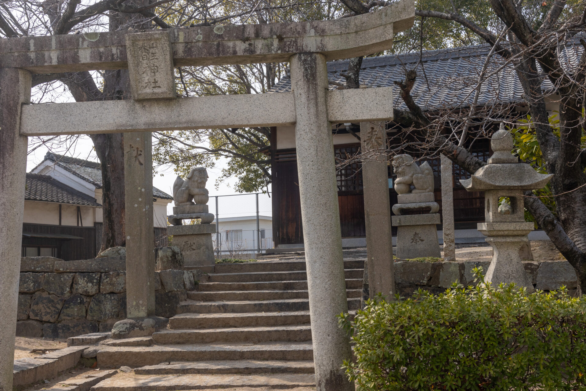 春日神社(川入)周囲より高い場所にあるのがわかります