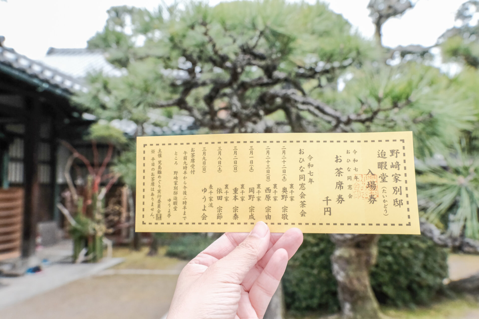 茶券