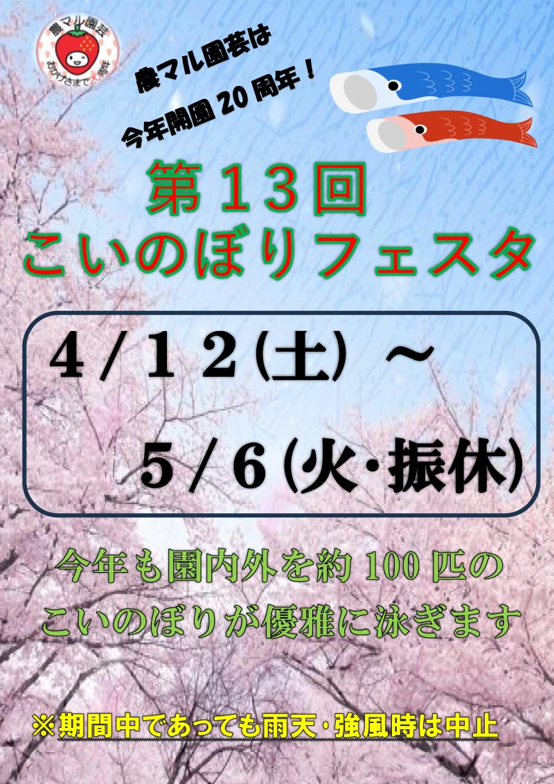 こいのぼりフェスタのチラシ
