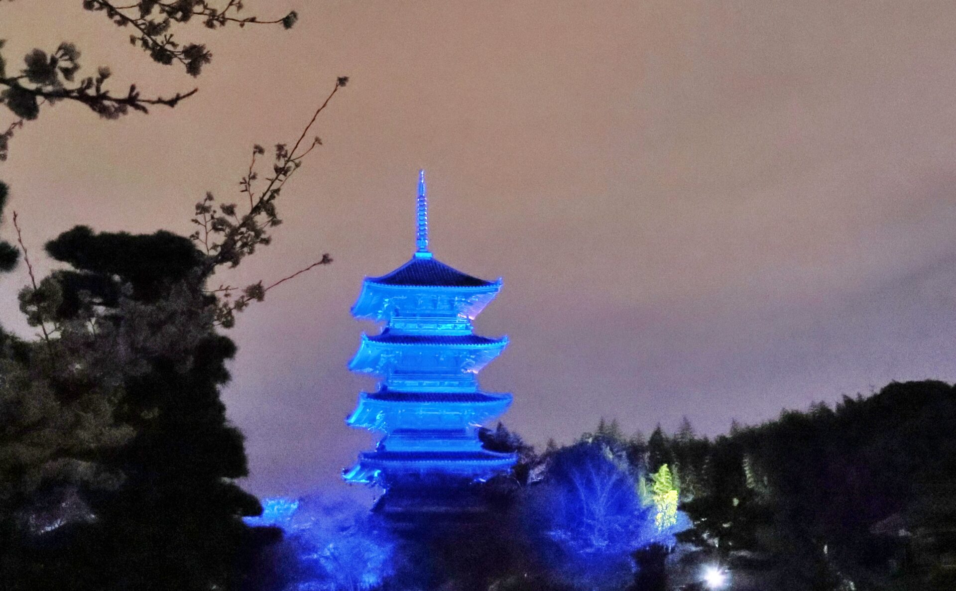 備中国分寺 五重塔のブルーライトアップ