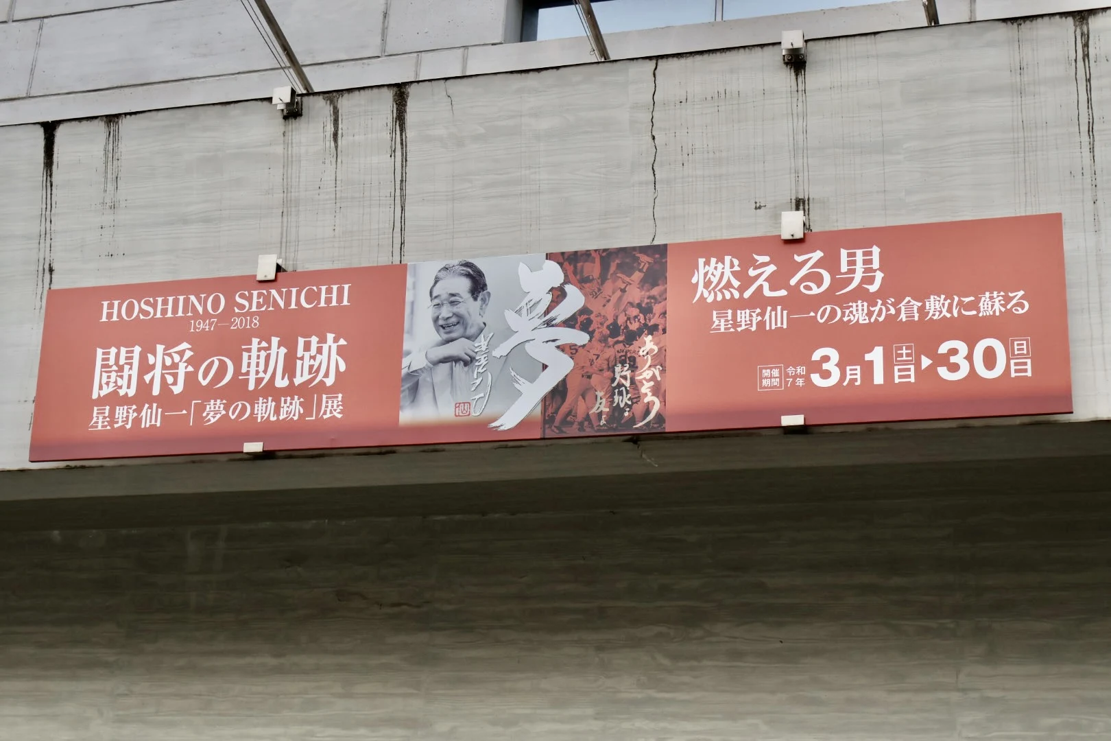 倉敷市立美術館で星野仙一「夢の軌跡」展