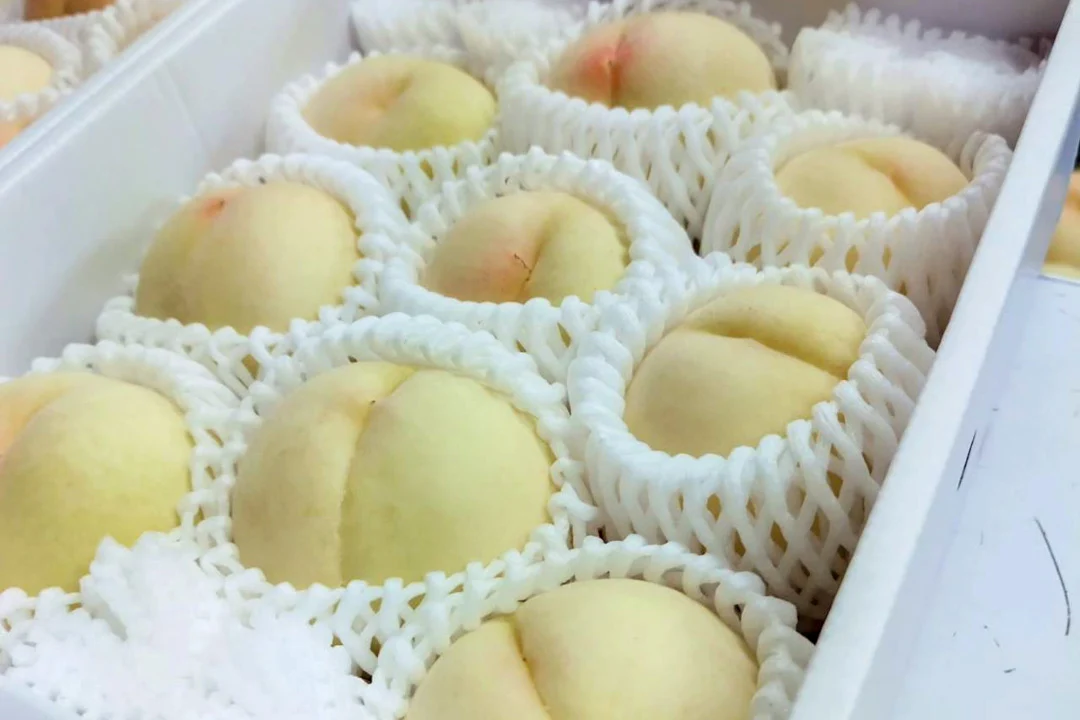 白桃(画像提供:なんば農園)