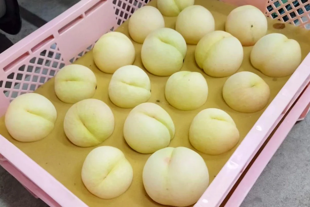 収穫したての桃(画像提供:なんば農園)