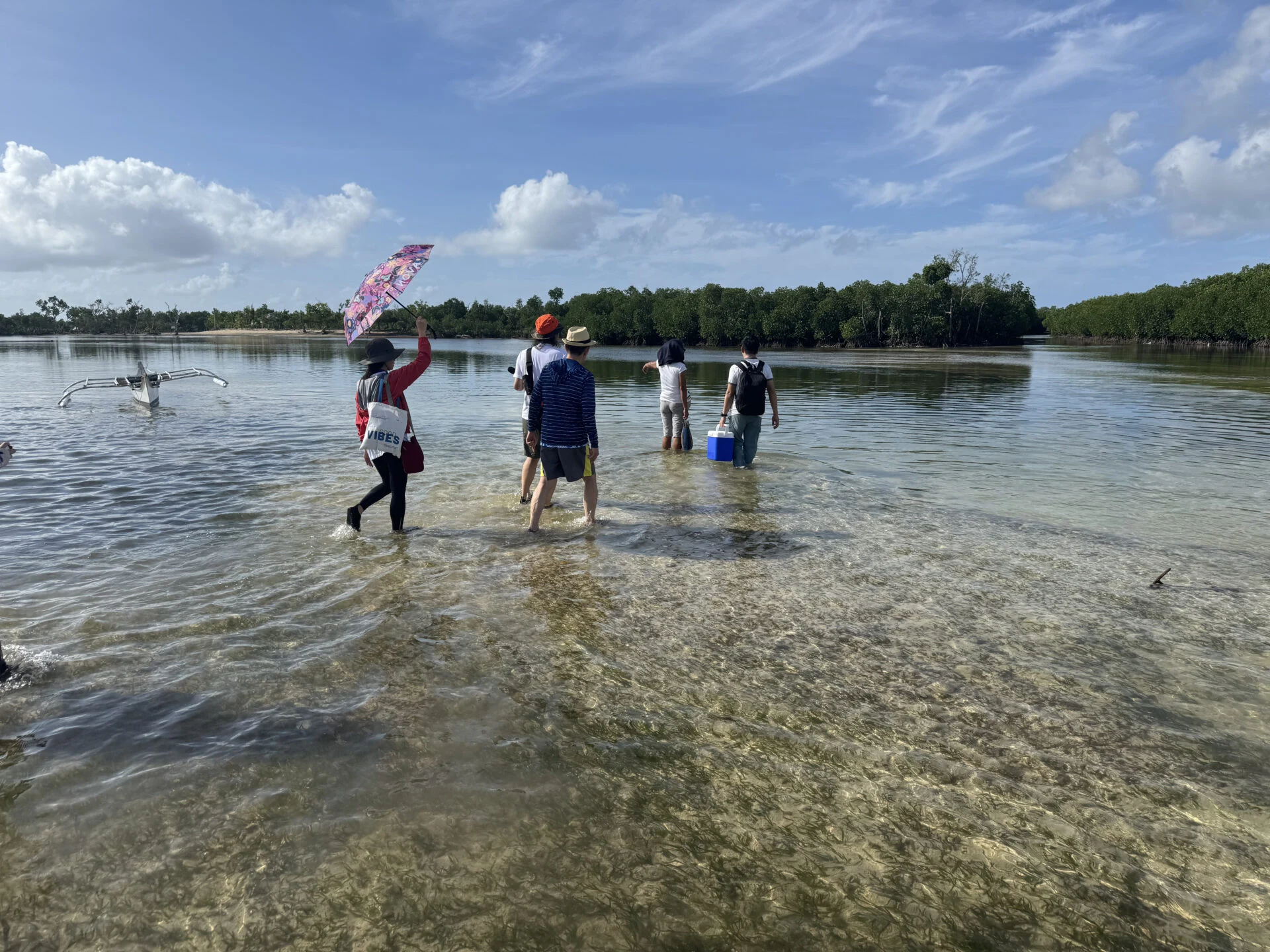 マングローブの水路へ進んでいく