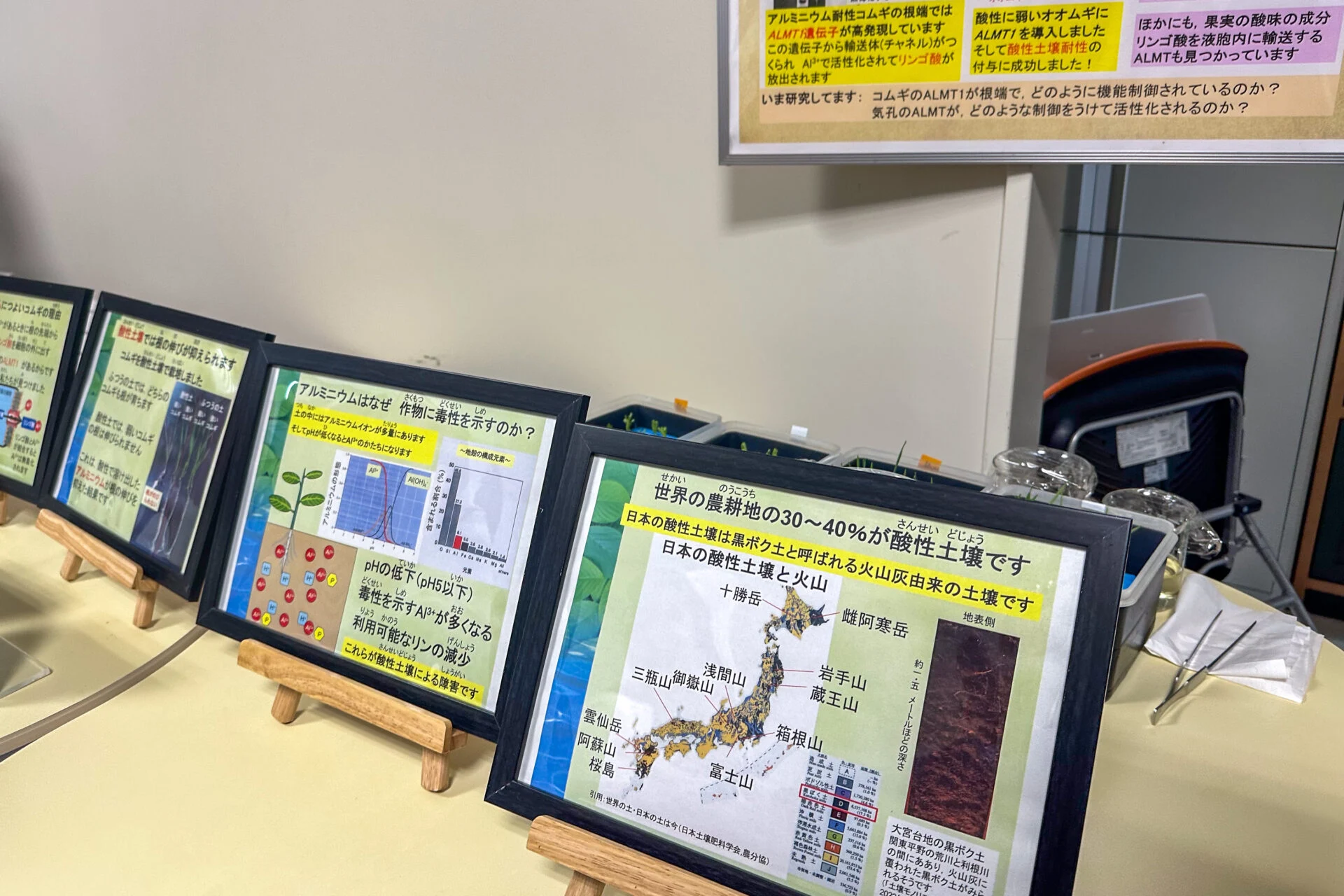 土壌が植物の生育にあたえる影響についての研究紹介