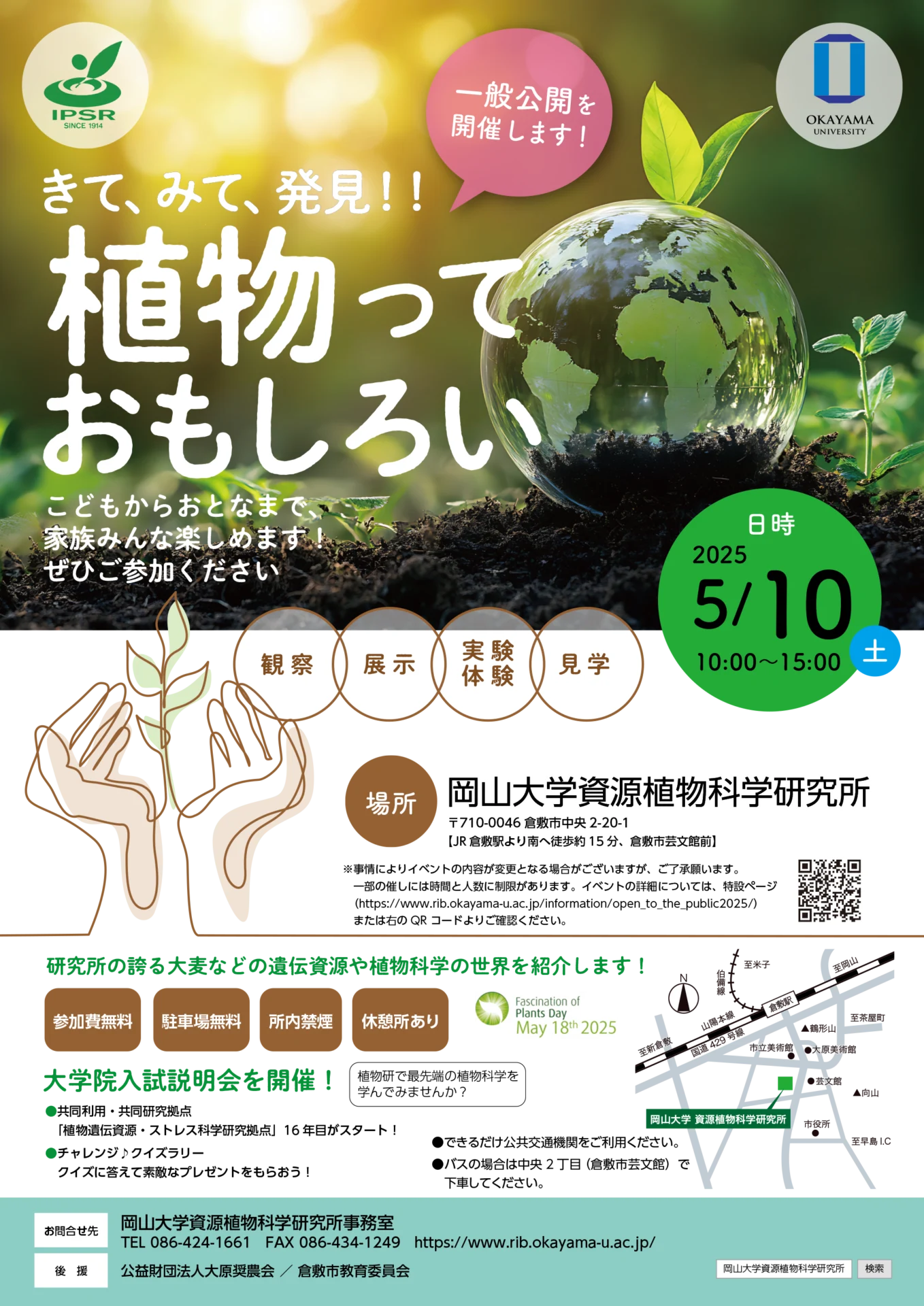 案内チラシ