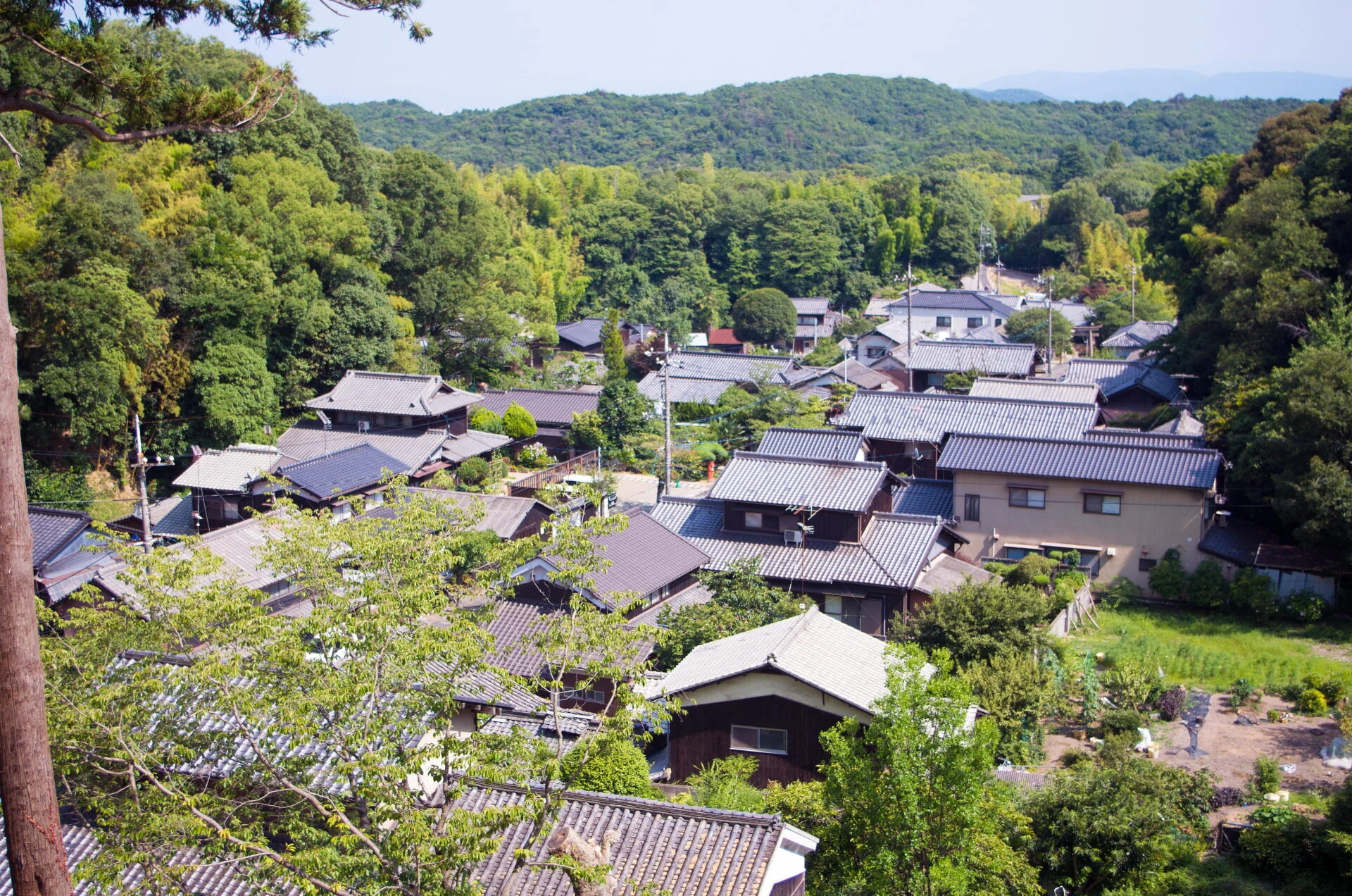 かつて両参りで賑わった門前町を望む