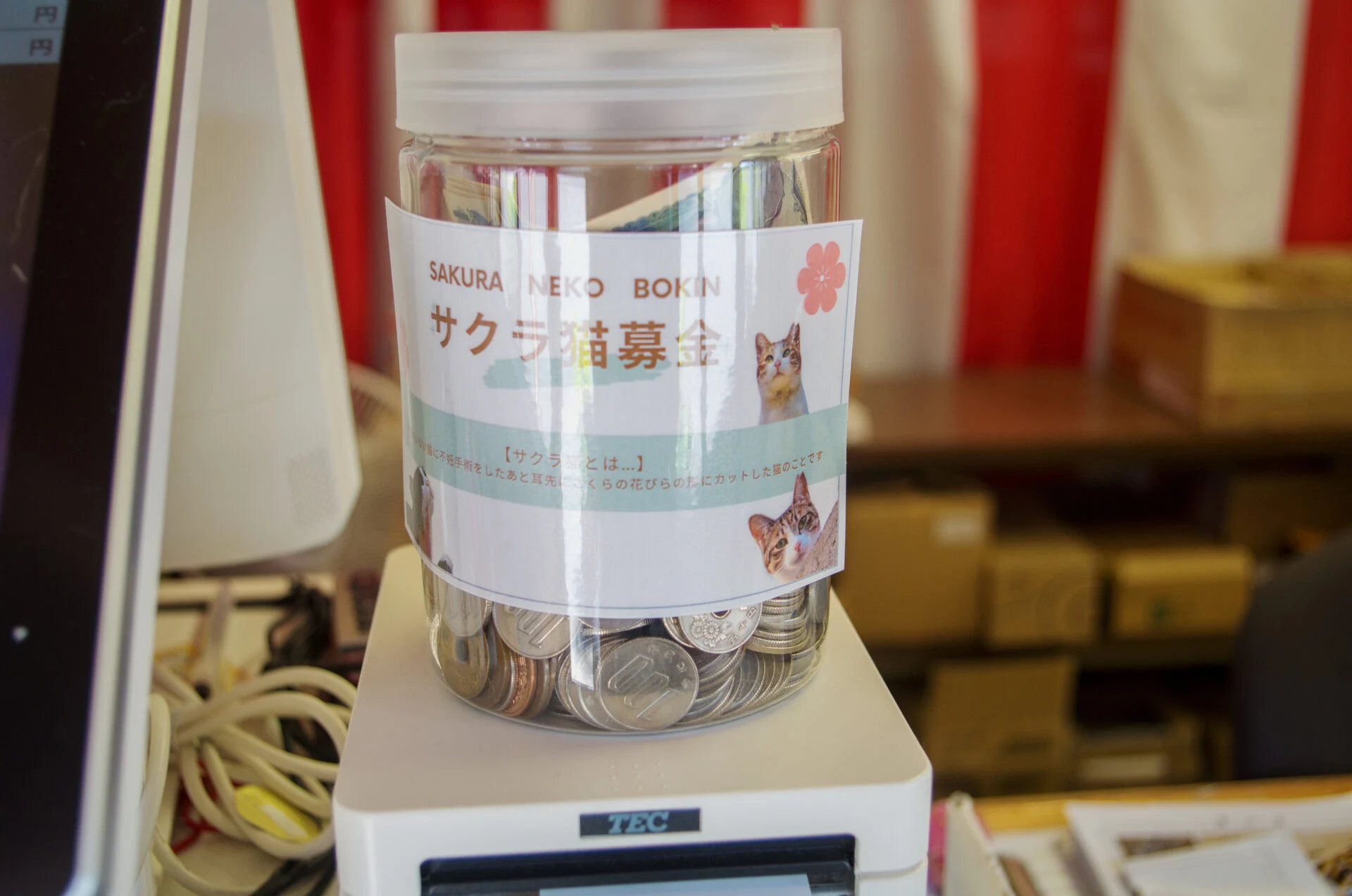 サクラ猫募金