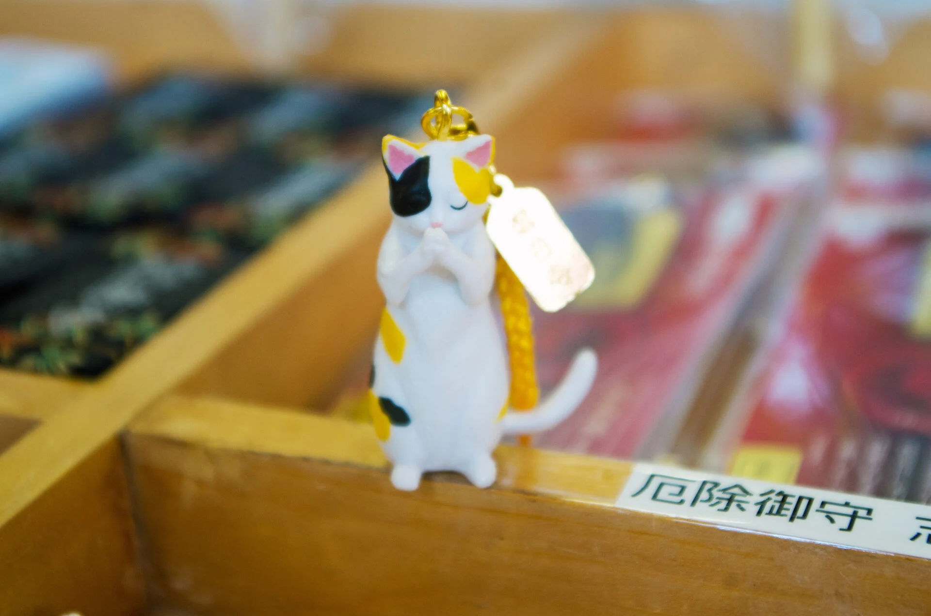 開運拝み猫