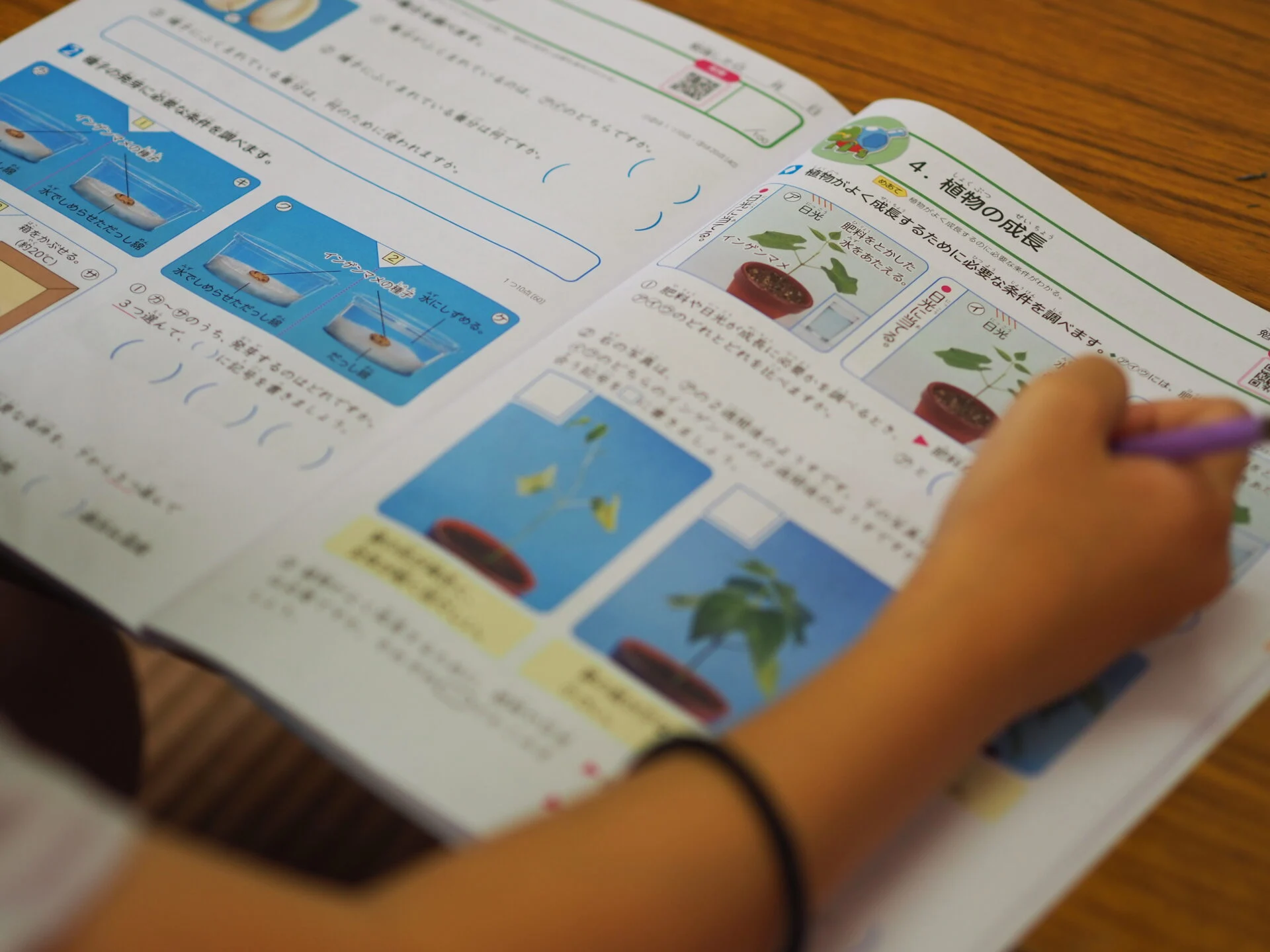 宿題をしている小学生のようす