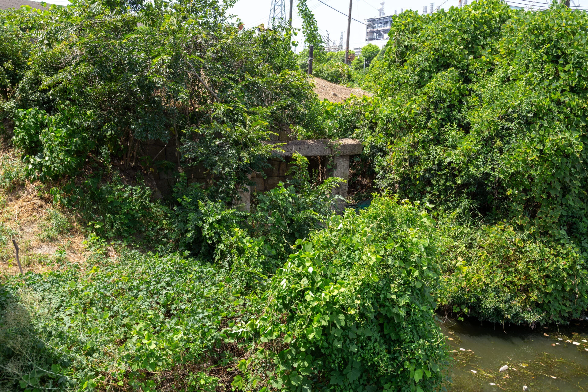 写真中心部の石垣が「水門」